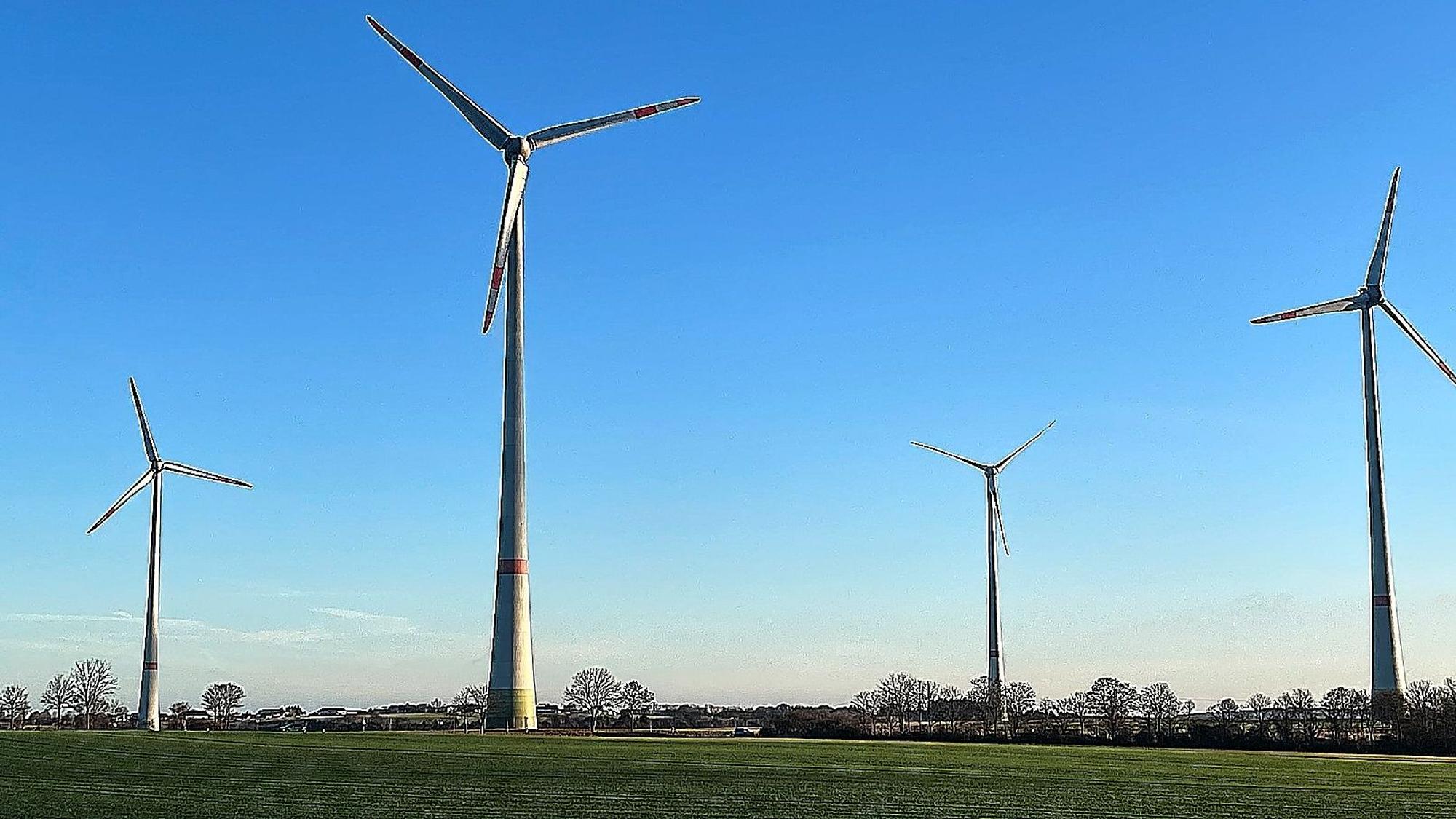 Vier Windräder stehen auf einer Wiese in der Eifel. Dazwischen sind winterlich kahle Bäume zu sehen.