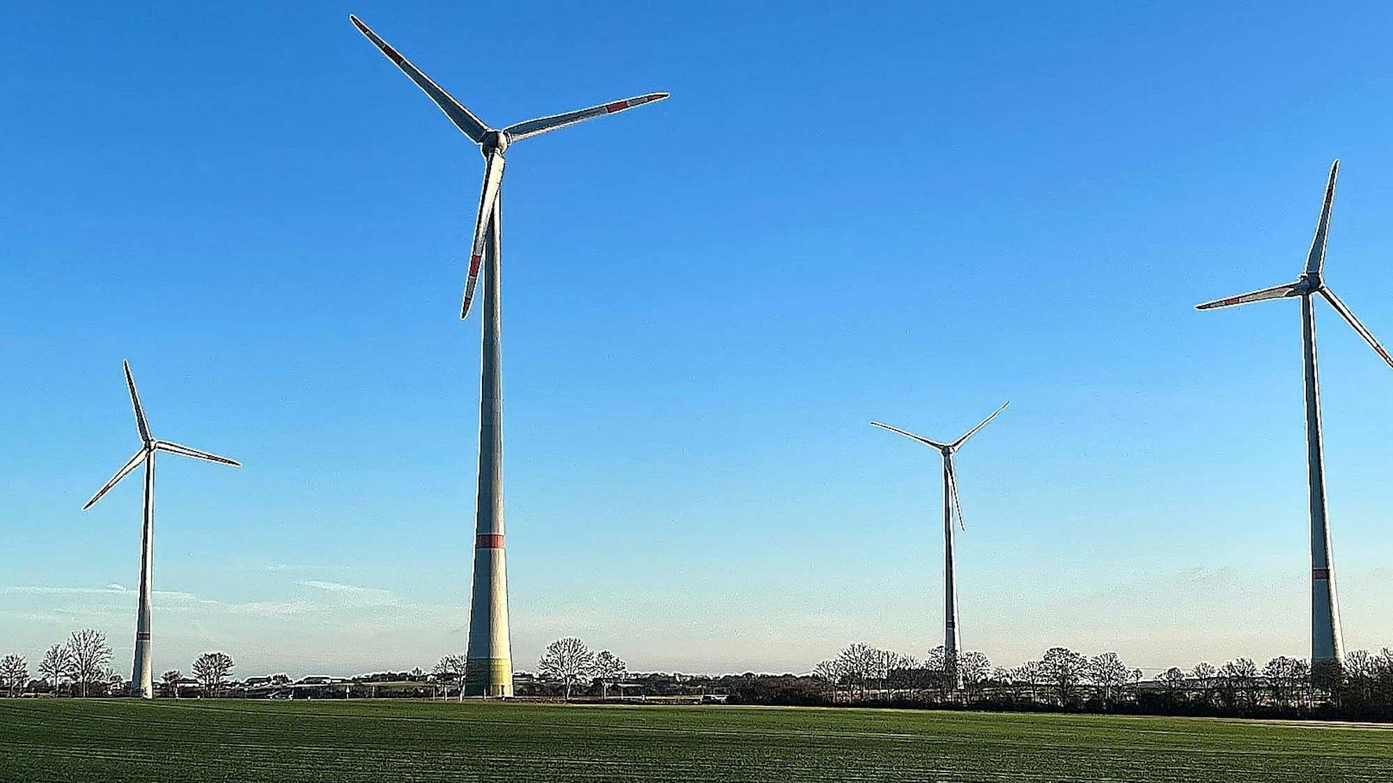 Vier Windräder stehen auf einer Wiese in der Eifel. Dazwischen sind winterlich kahle Bäume zu sehen.