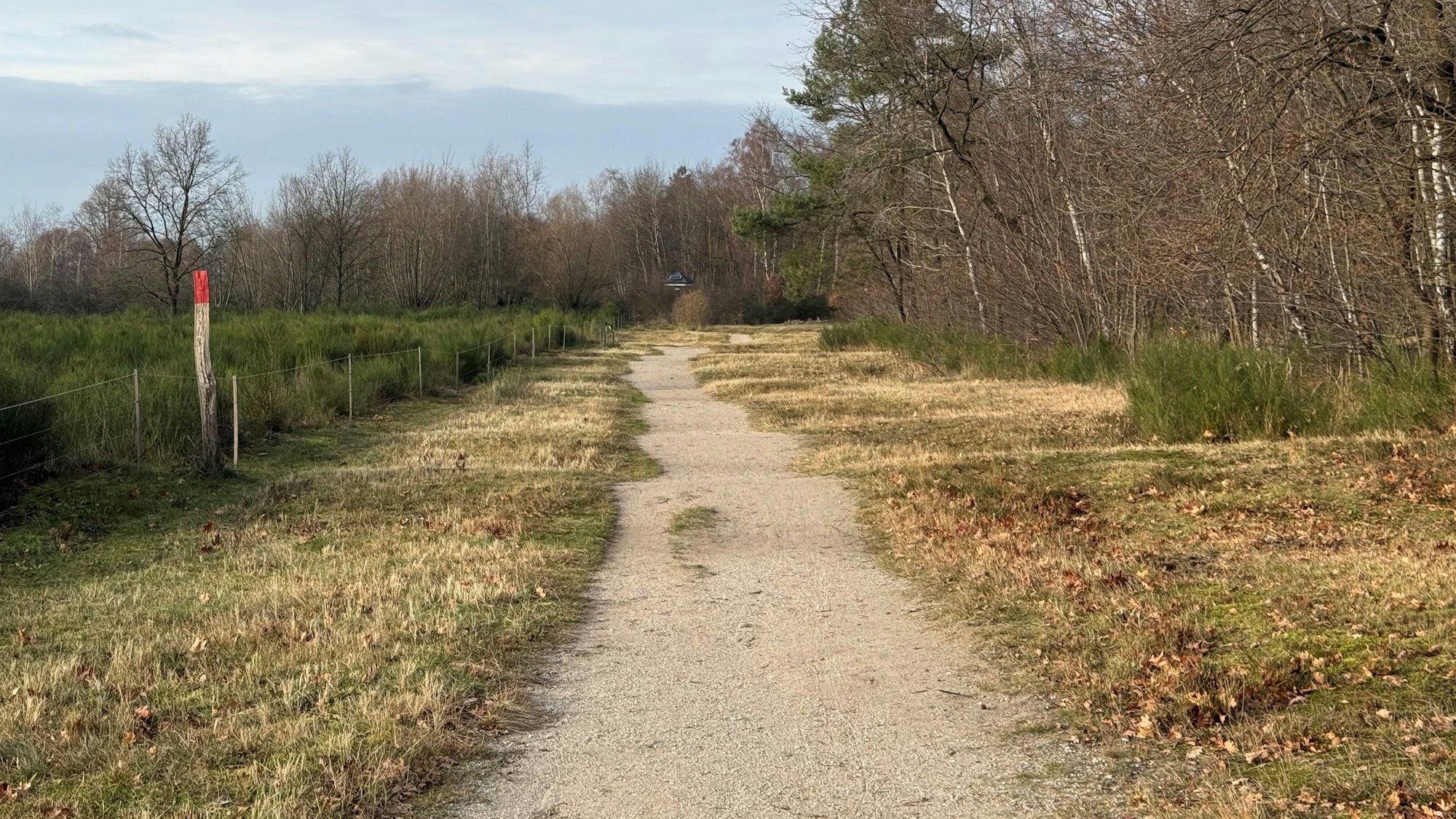 Über gut begehbare Wege führt der erste Teil der Strecke entlang der Alten Kölner Straße.