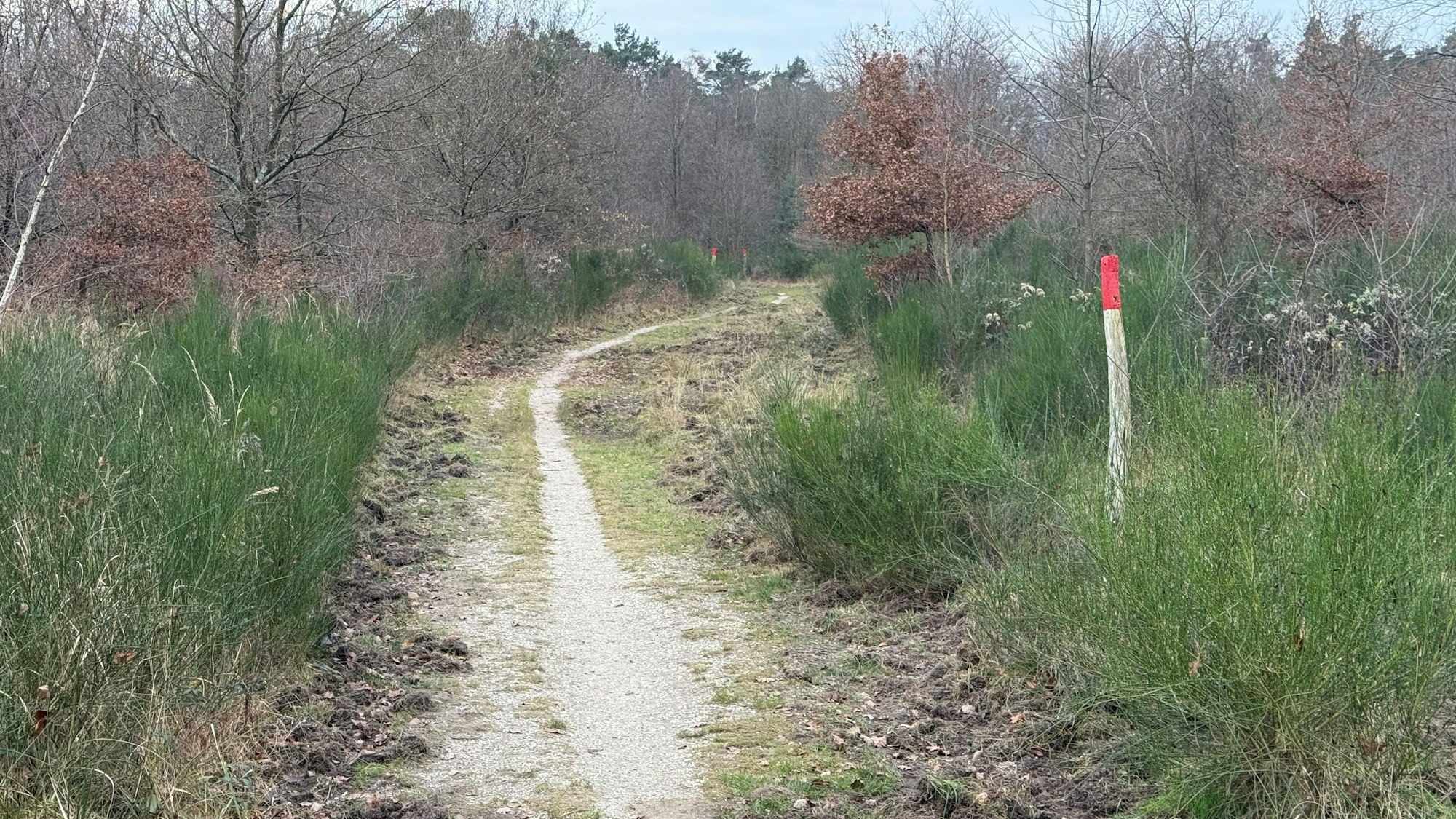 Auf einigen Streckenteilen gibt es sogar enge Pfädchen.