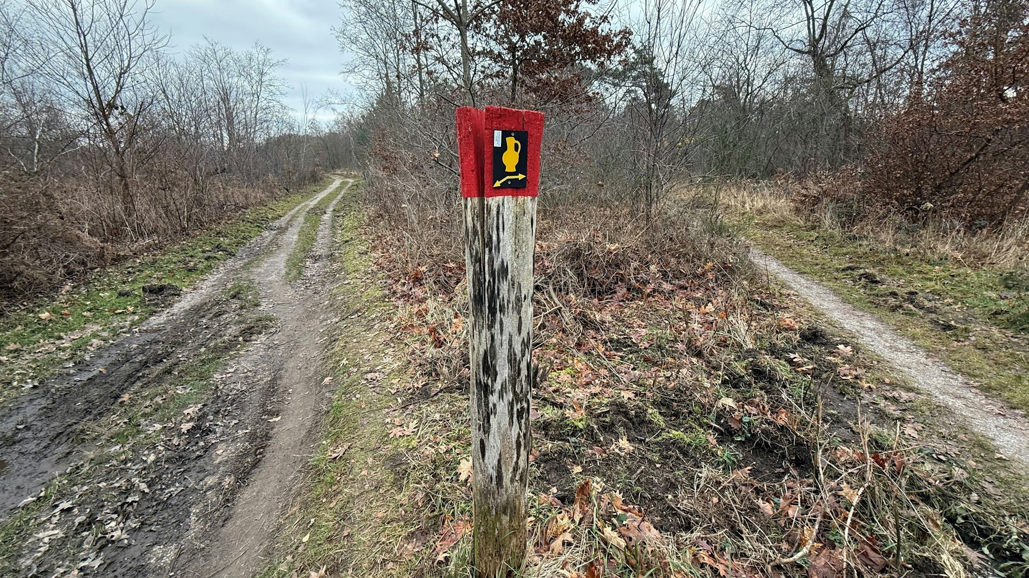 Ein großer Teil der Schleife führt über die Hühnerbruch-Tour entlang, die mit einer gelben Kanne auf schwarzem Hintergrund gekennzeichnet ist.
