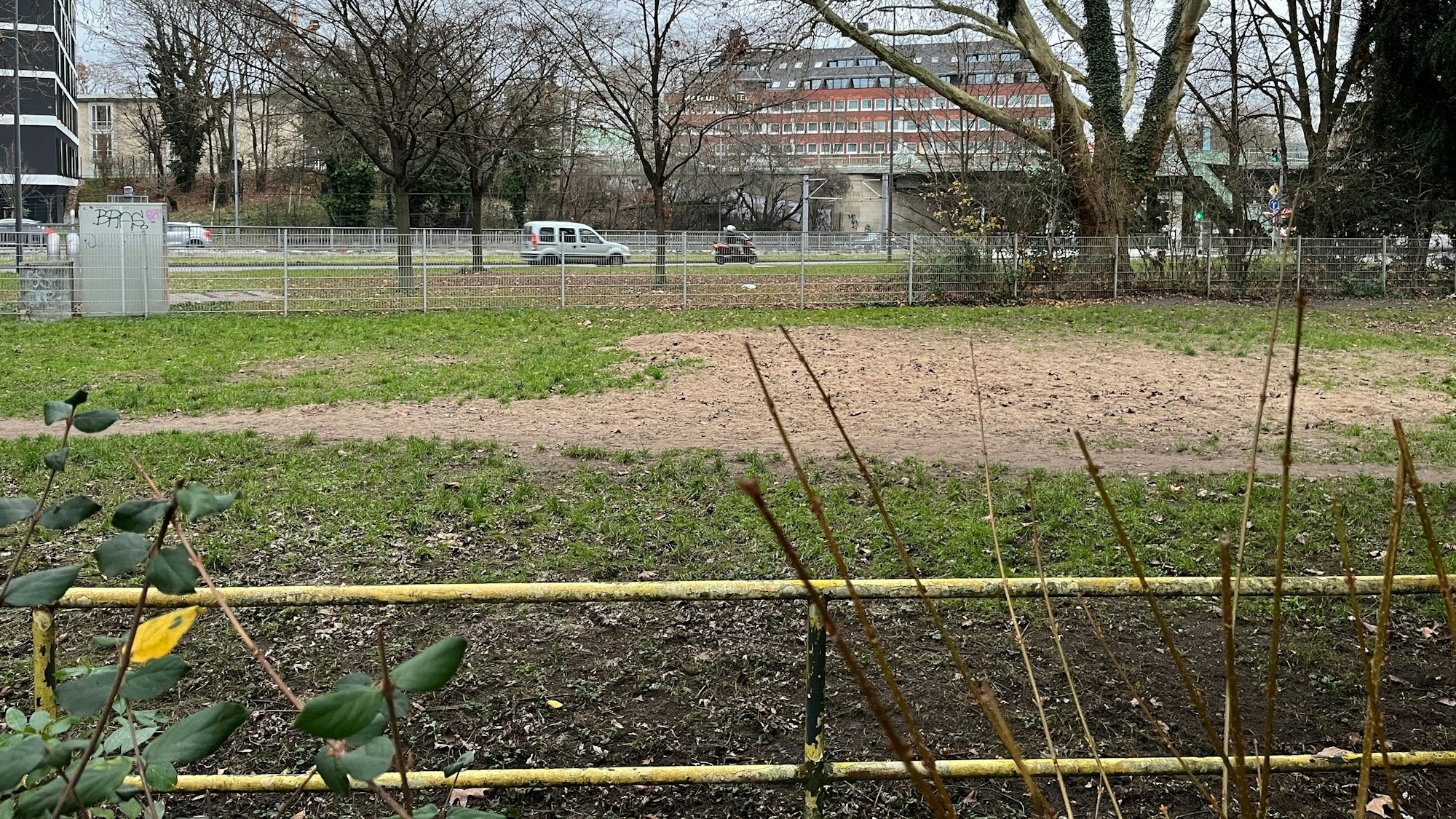 Wiesenstück an der Wilhelm-Hoßdorf-Straße. Im Hintergrund ist das Mercure Hotel an der Severinstraße zu sehen.