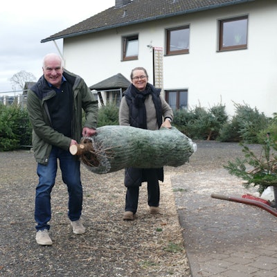 Ein Ehepaar trägt einen verpackten Weihnachtsbaum nach Hause.