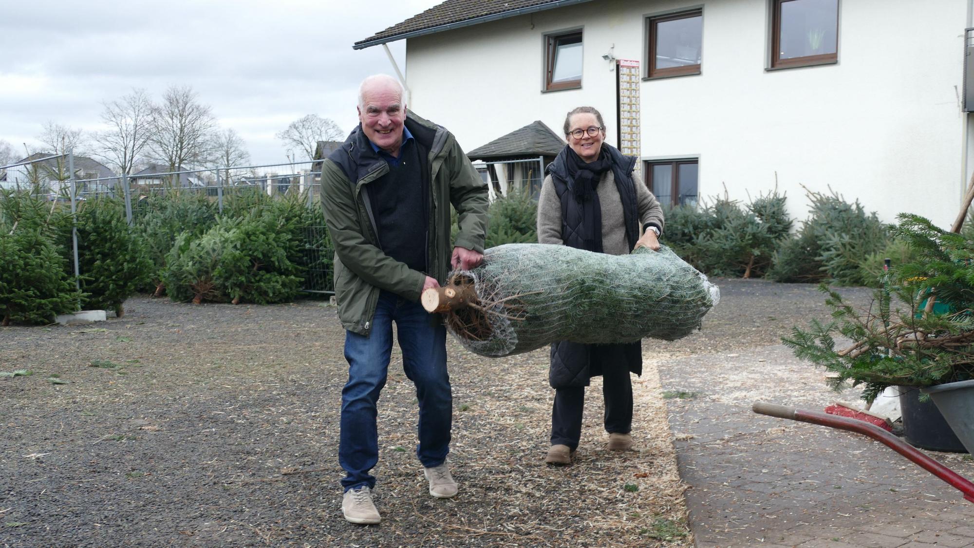 Ein Ehepaar trägt einen verpackten Weihnachtsbaum nach Hause.