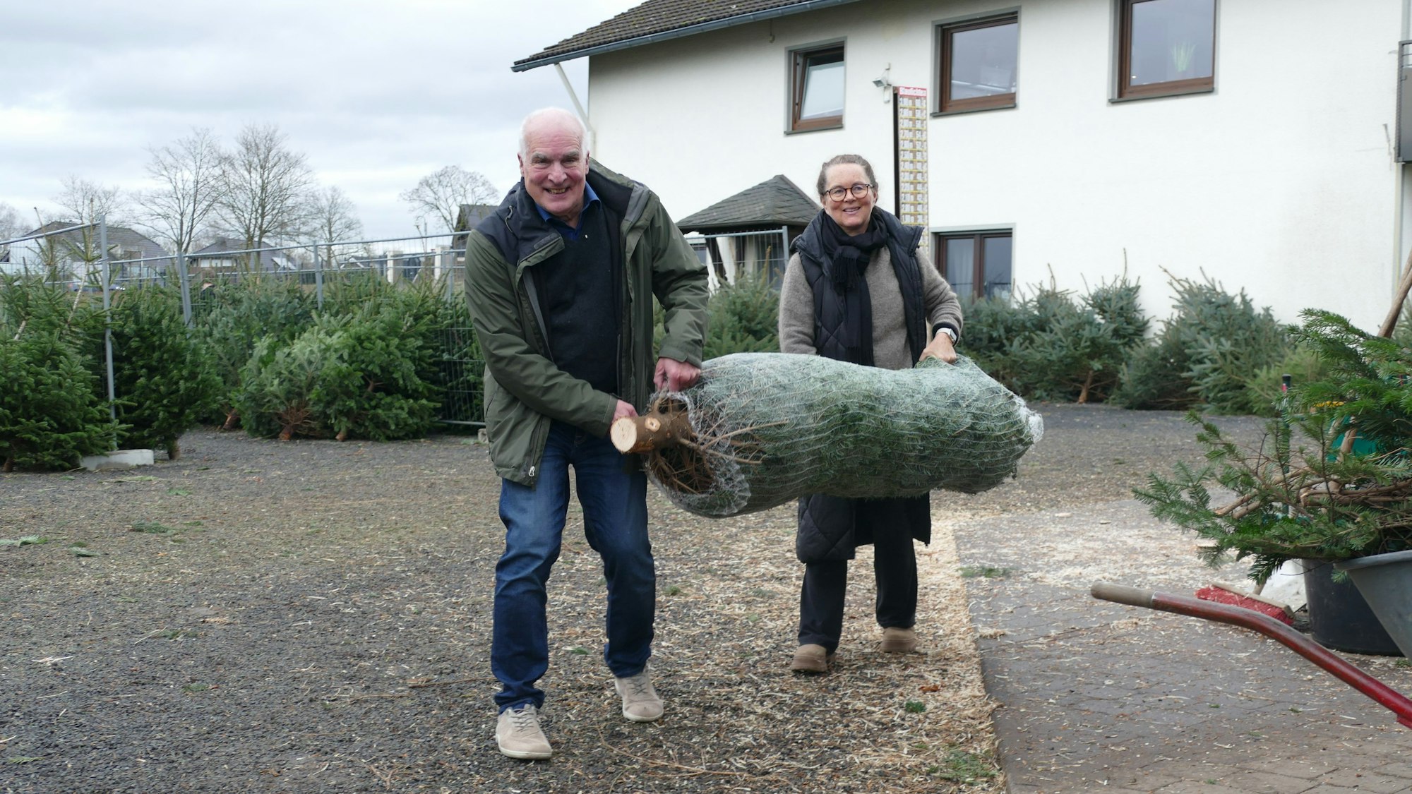Ein Ehepaar trägt einen verpackten Weihnachtsbaum nach Hause.