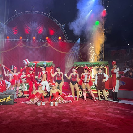 Das Foto zeigt Artisten in der Manege.