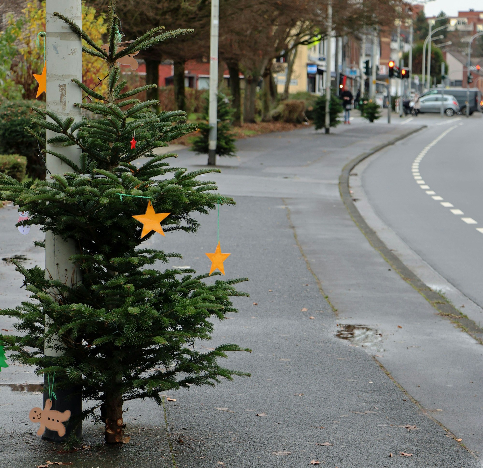 Auf dem Foto sind Weihnachtsbäume entlang einer Straße zu sehen.