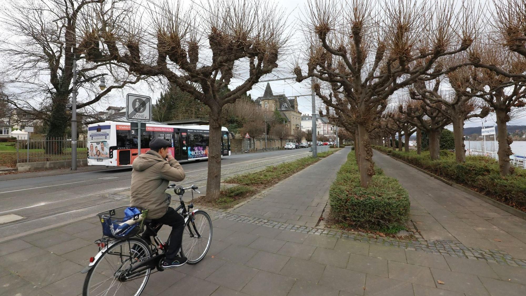 Ein Radfahrer befährt die Rheinpromenade.