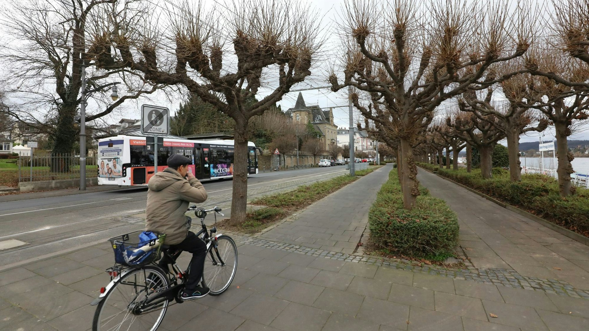 Ein Radfahrer befährt die Rheinpromenade.