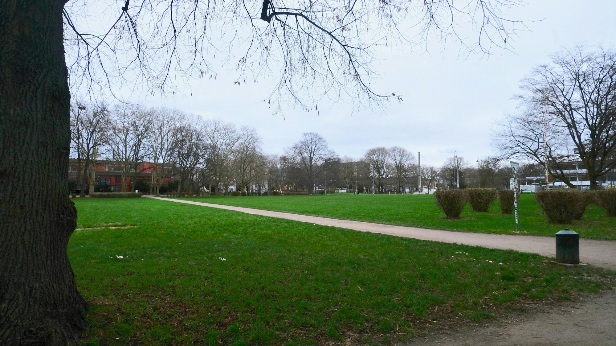 Ein Weg in einer Parkanlage ist zu sehen.