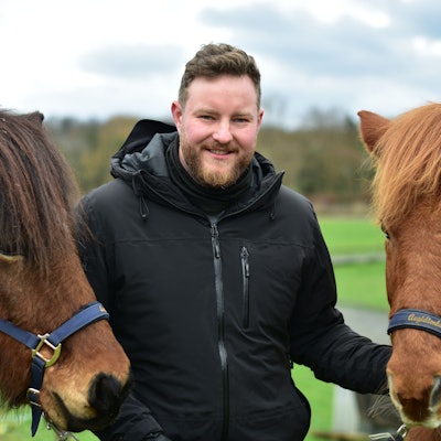 Ein Mann hält zwei Island-Pferde am Halfter.