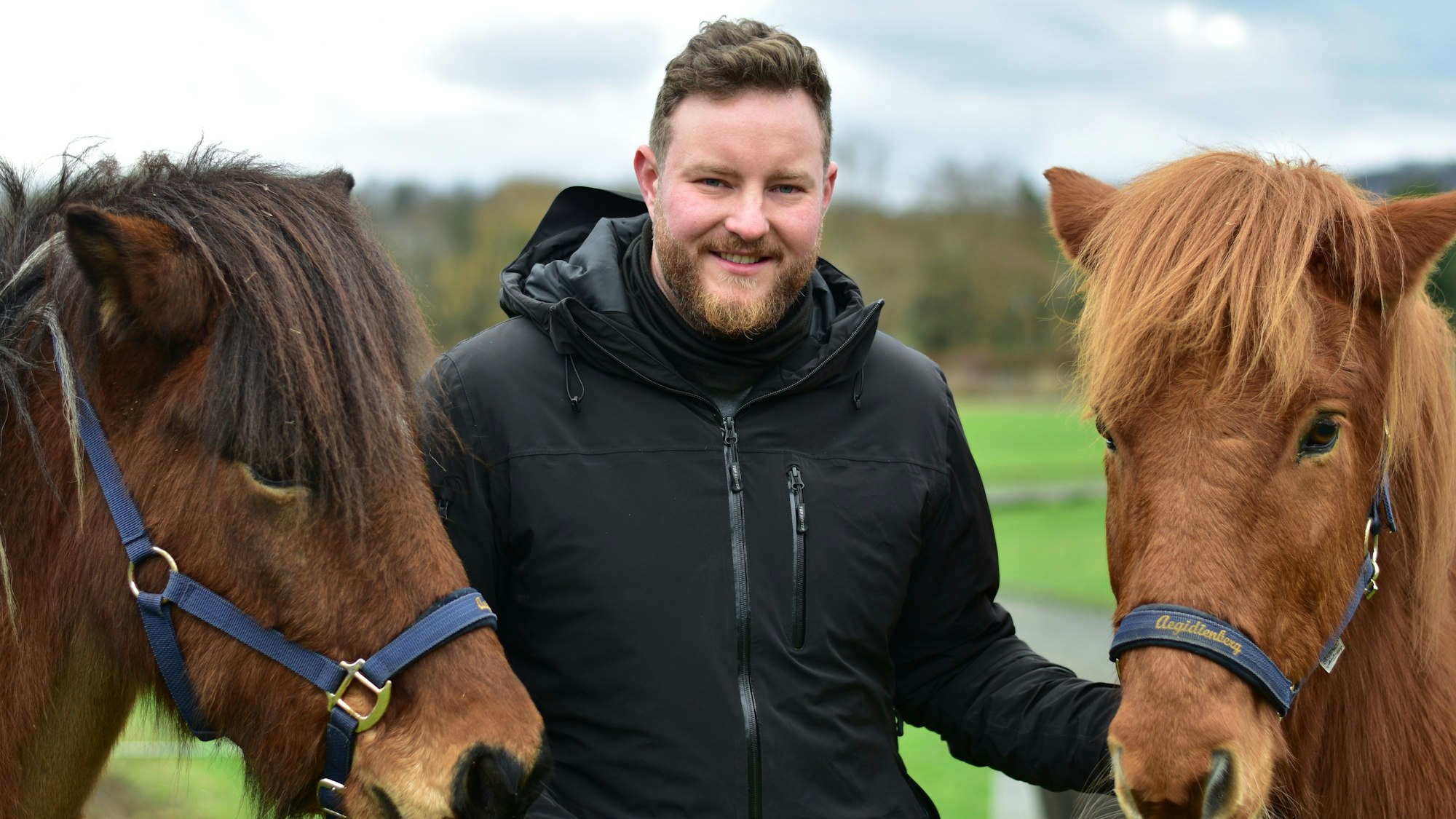 Ein Mann hält zwei Island-Pferde am Halfter.