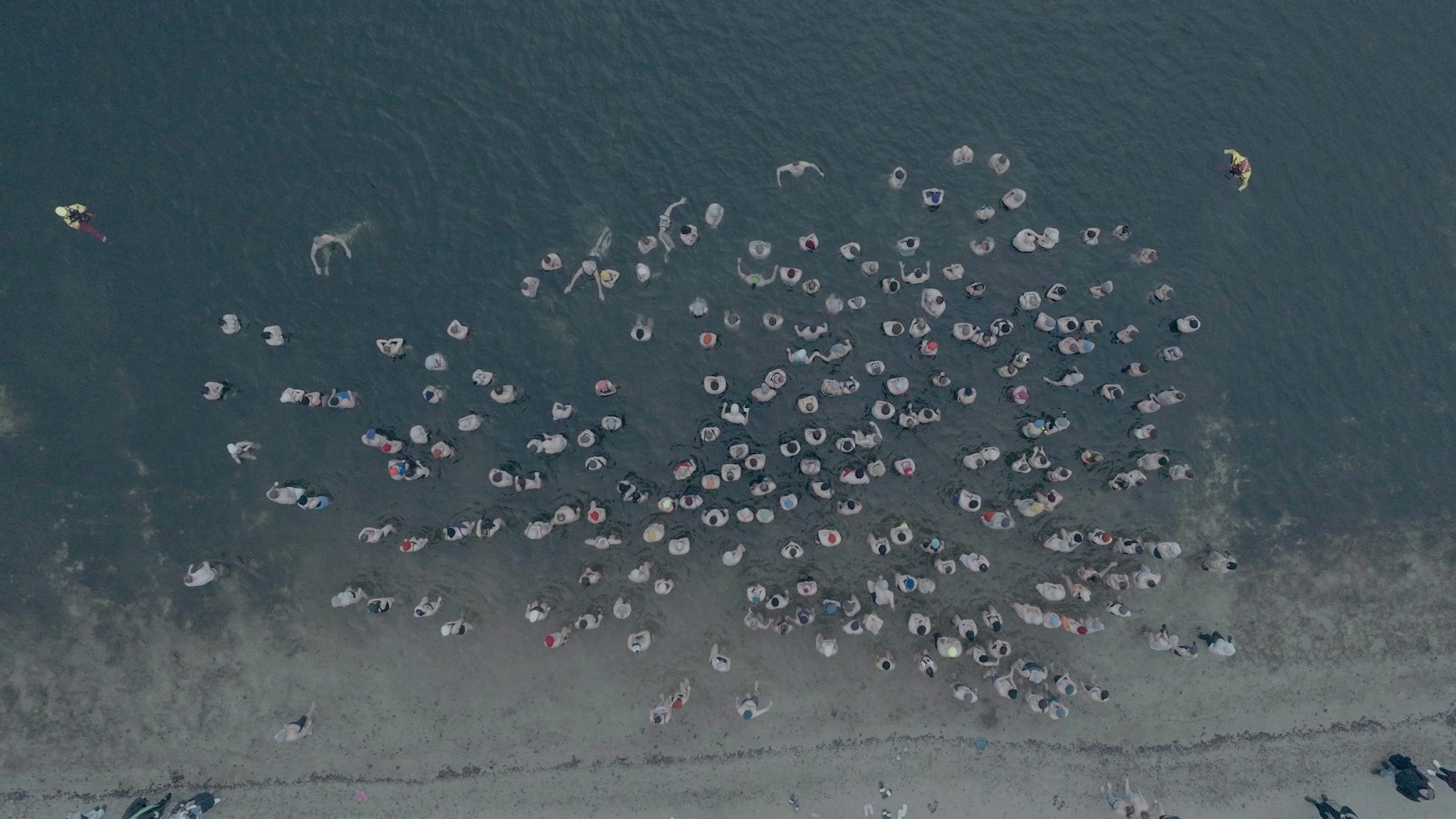Zum Neujahrsschwimmen am 1. Januar 2025 kamen viel mehr Menschen als erwartet.