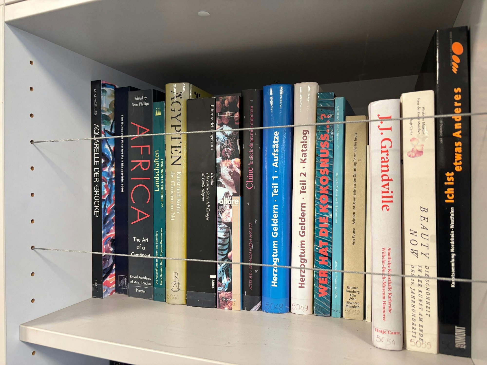 Auf dem Bild ist ein Regalfach mit Metallseilen zu sehen.