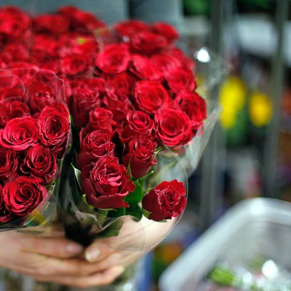 Zu sehen ist ein Strauß Rosen.