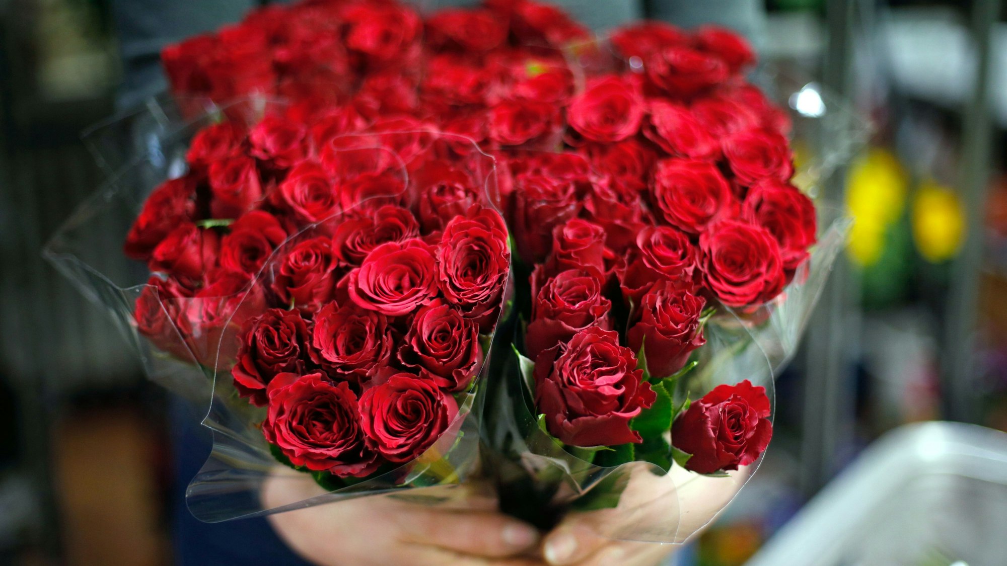 Zu sehen ist ein Strauß Rosen.