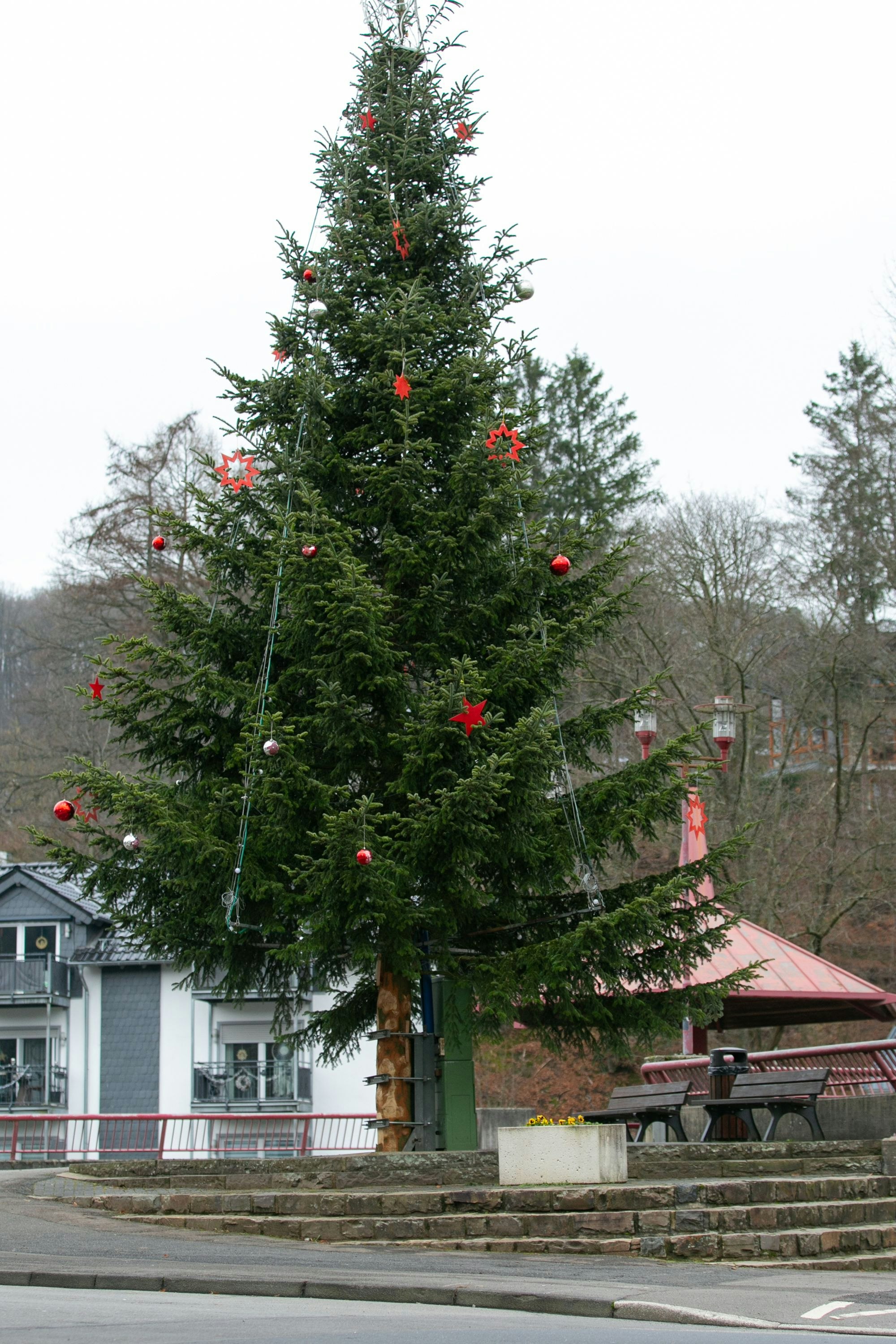 So sieht der aktuelle Weihnachtsbaum an der Aggerbrücke in Loope aus.