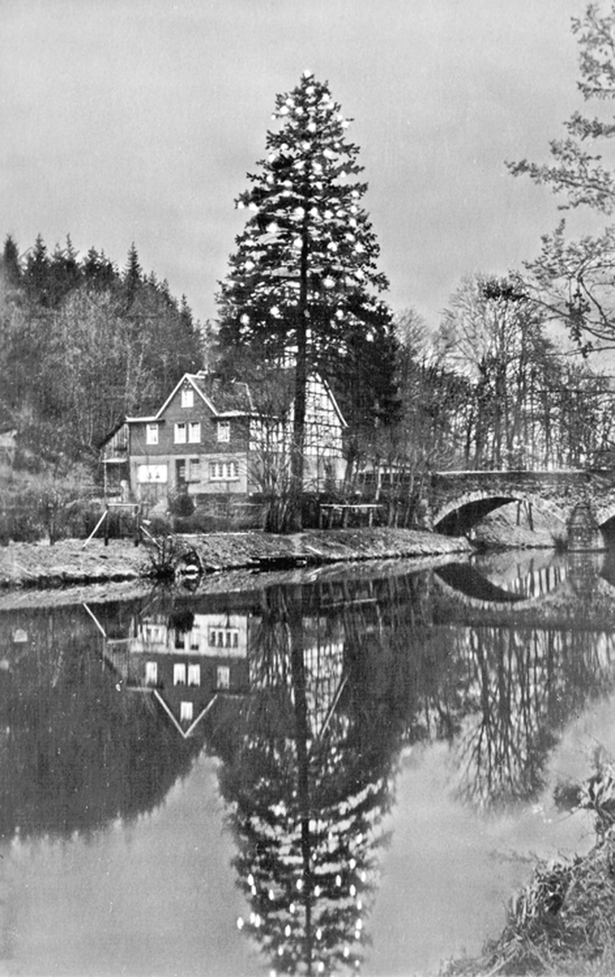 Das Originalbild in Schwarz-Weiß.