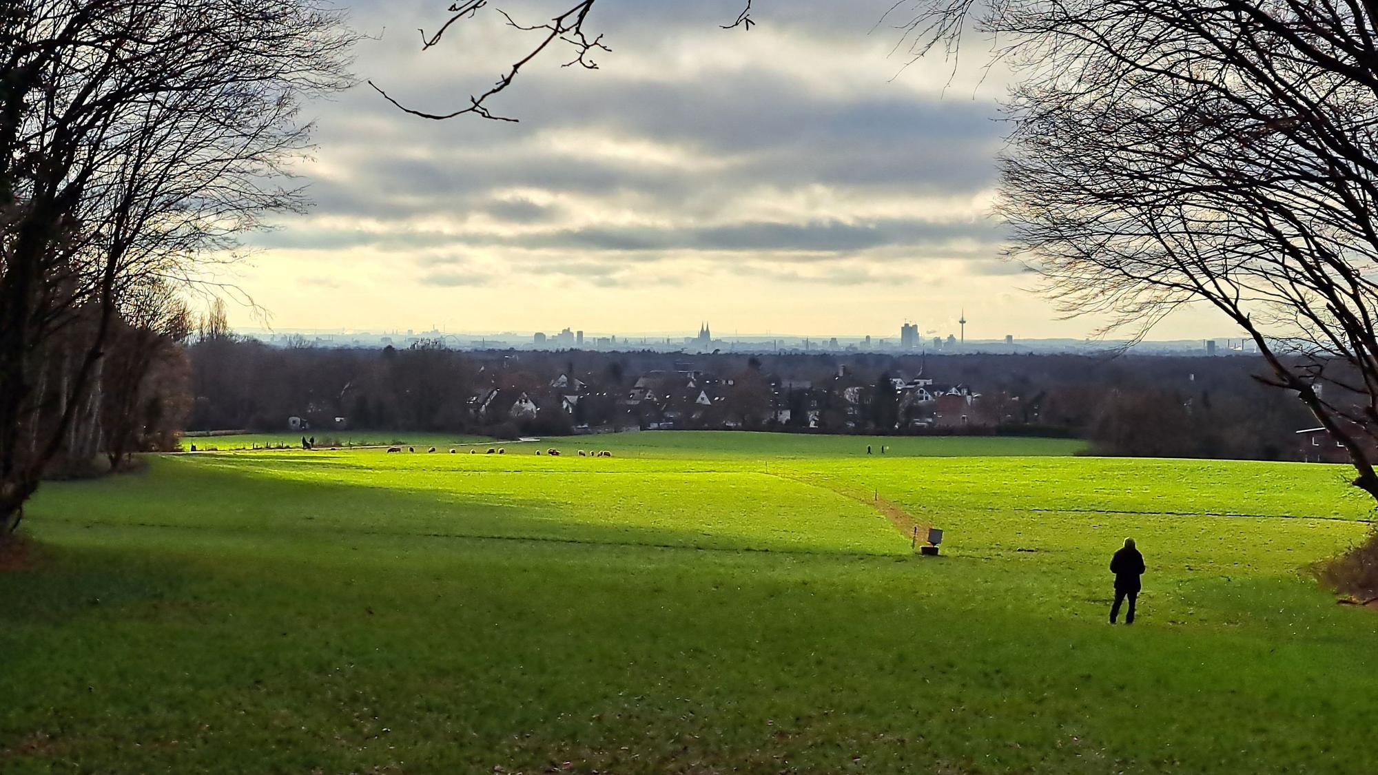 Über eine in der Sonne liegenden Wiese ist Bergisch Gladbach-Paffrath und am Horizont Köln zu sehen.