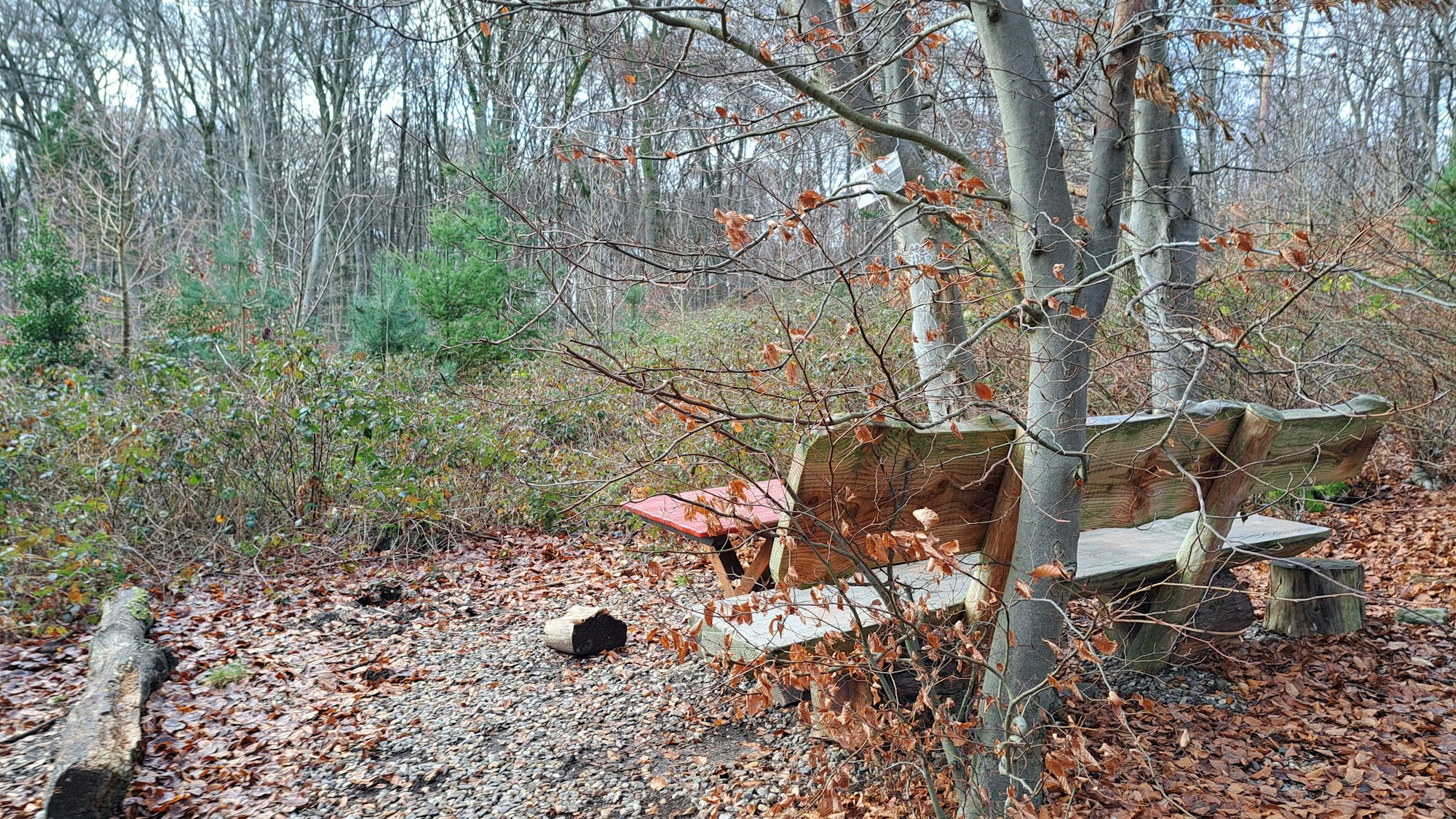 Eine Bank und ein Tisch stehen am Rand einer Lichtung im Nußbaumer Wald.