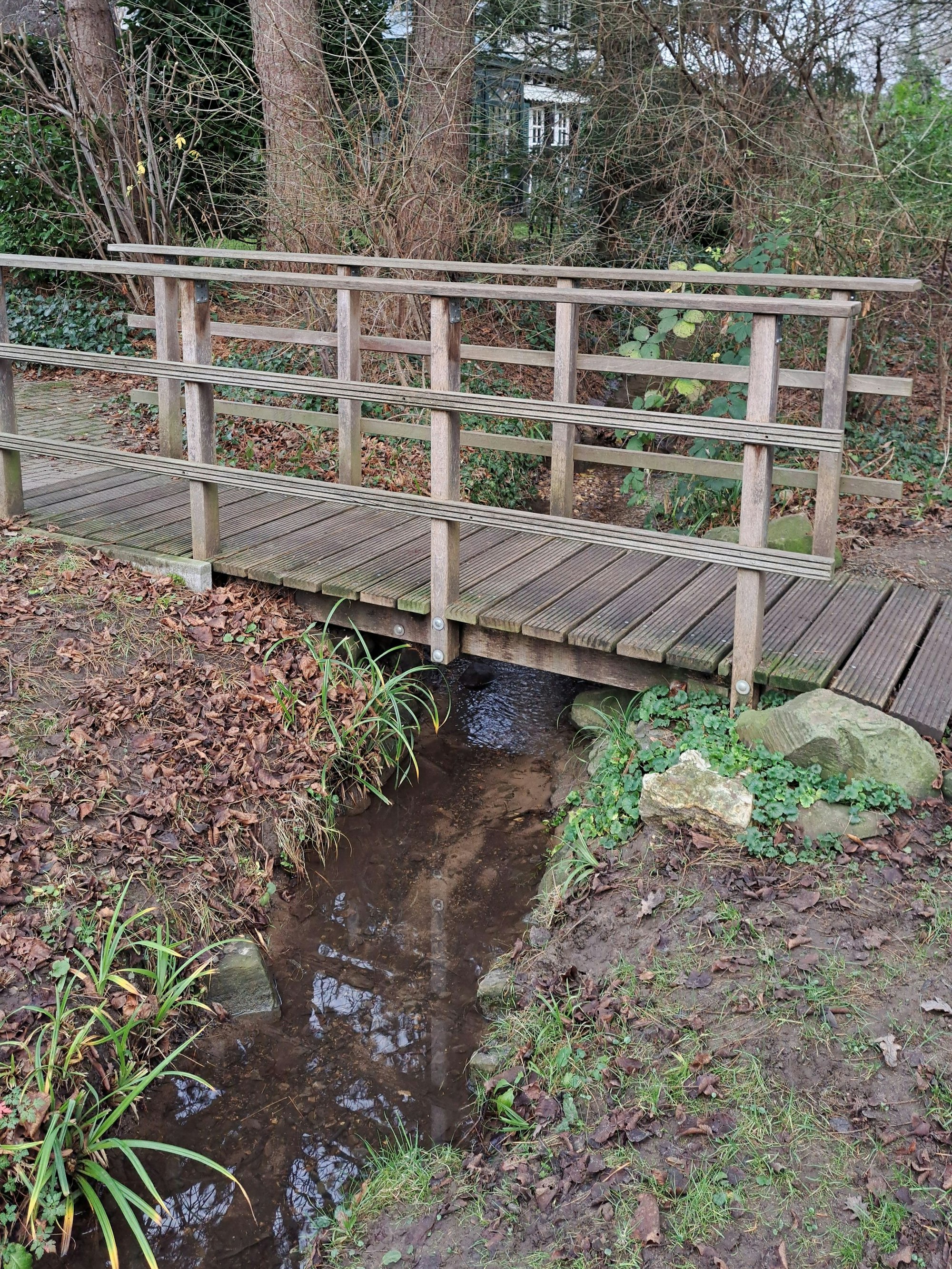 Ein Steg führt auf der Rätseltour über den Mutzbach.