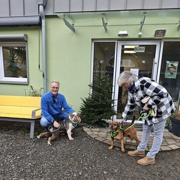 Zwei Bulldoggen aus dem Tierheim haben neue Besitzer gefunden.