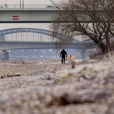 Das Bild zeigt die Poller Wiesen in Köln.
Foto: Michael Bause