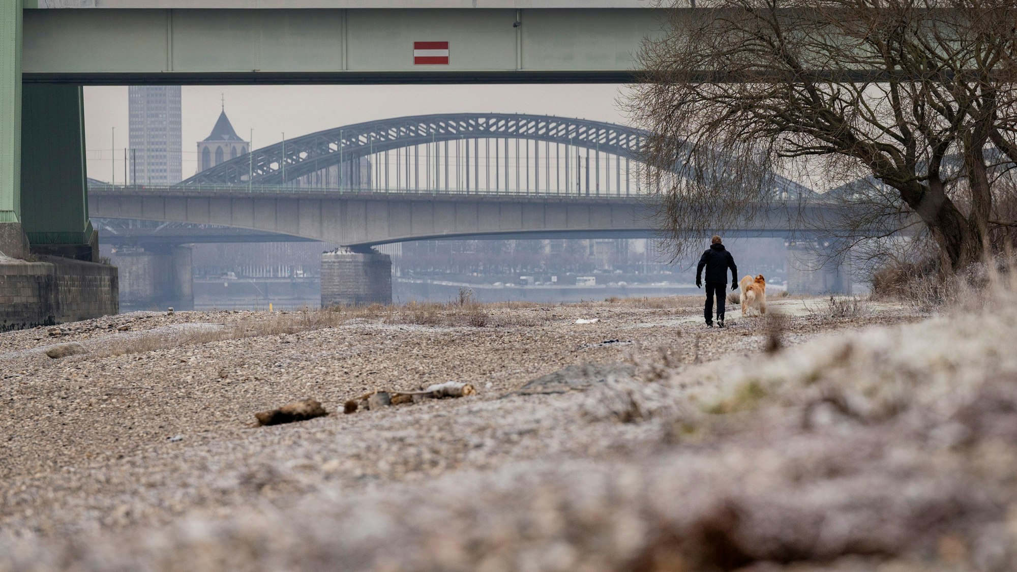 Das Bild zeigt die Poller Wiesen in Köln.
Foto: Michael Bause