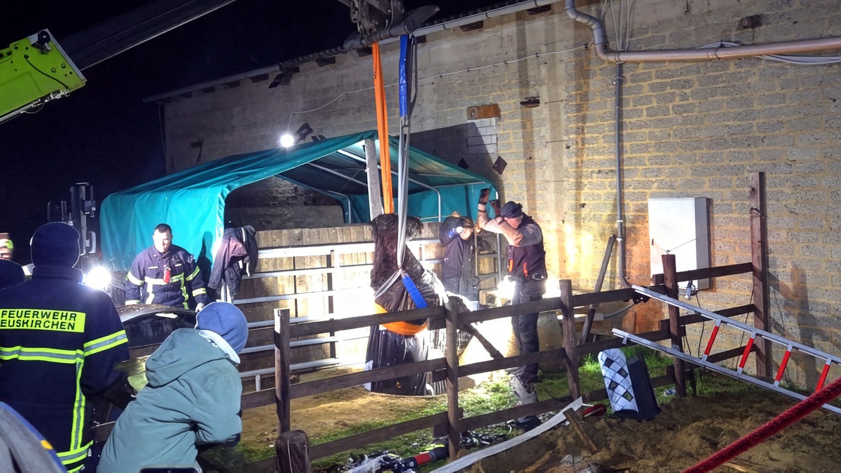 Das Bild zeigt eine Szene der Rettung. Das Tier hängt an Schlingen und wird vorsichtig aus der Grube gezogen.