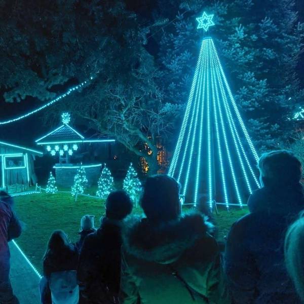 01.01.2026: Lichtershow in Gogarten 2025