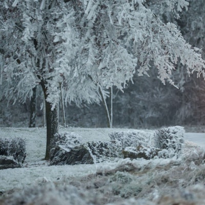 Ein Fahrzeug des Winterdienstes ist auf einer mit Schnee bedeckten Straße unterwegs