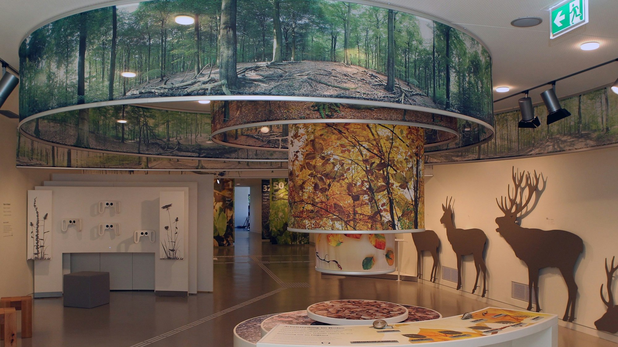 Die Ausstellung Wildnis(T)räume wurde 2016 in Vogelsang eröffnet.