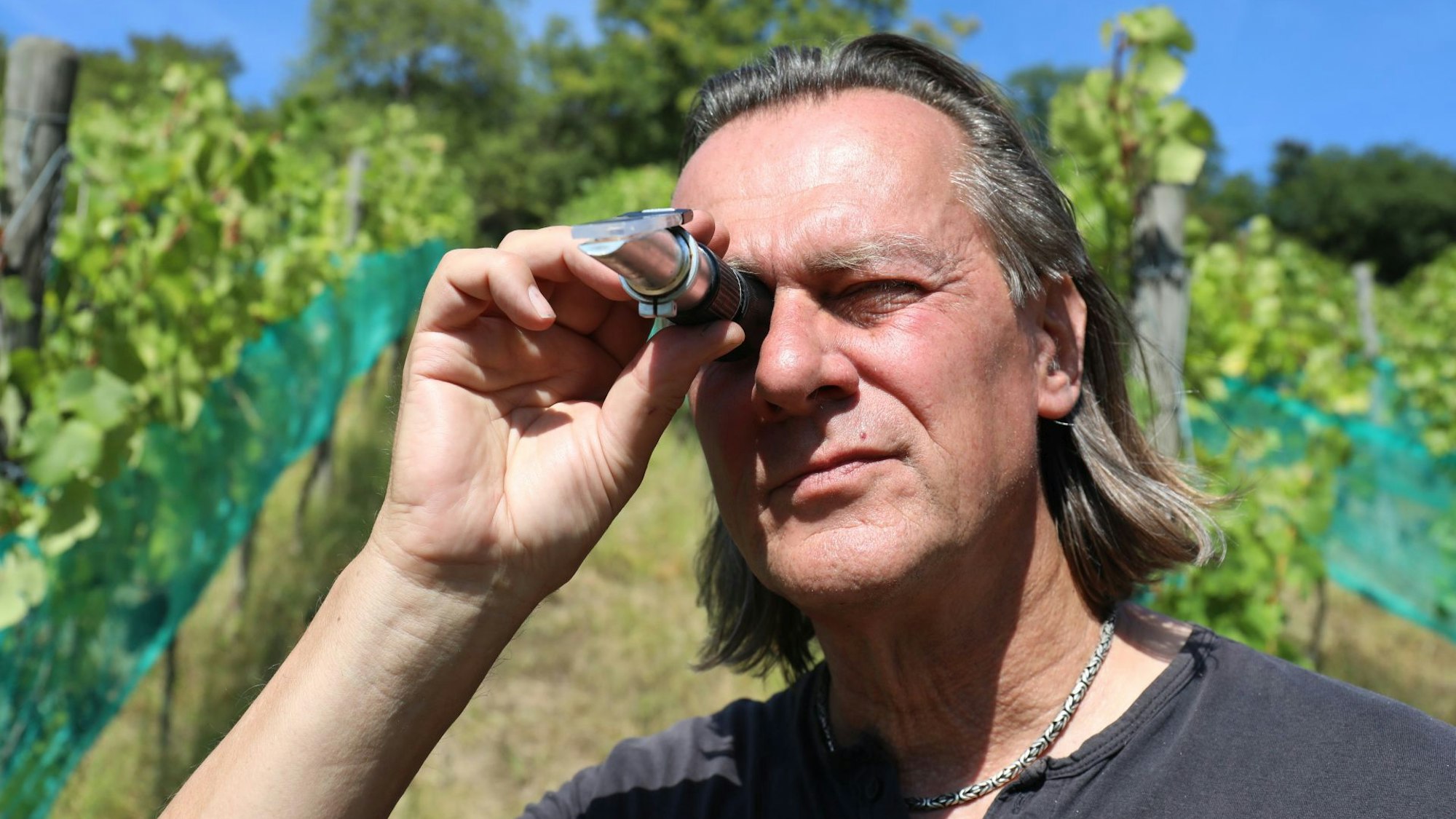 Kay Thiel Oberdollendorf Winzer Geschichte