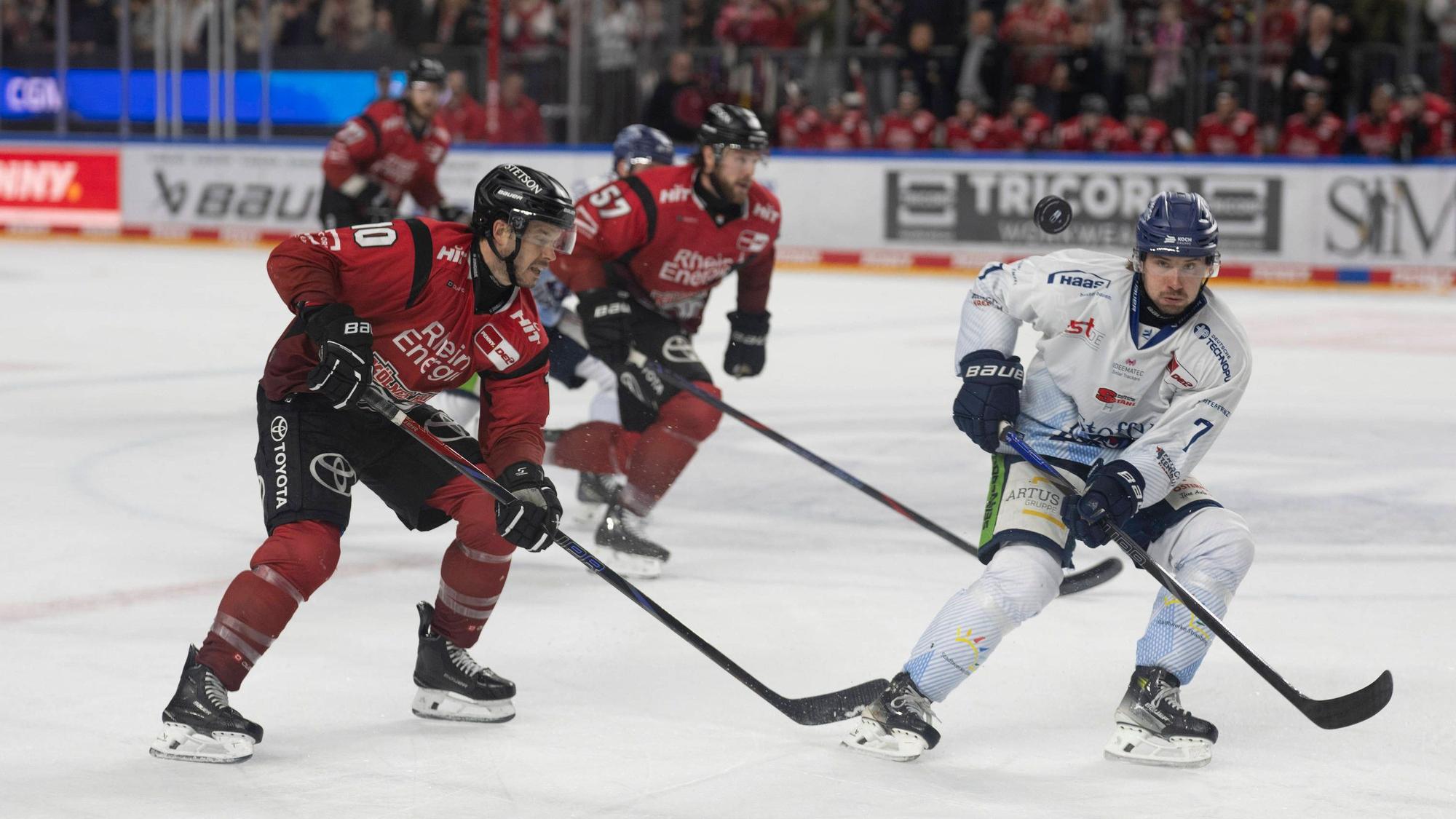 PENNY DEL 1 Kölner Haie - Straubing Tigers Köln, 02.01.2026 Tanner Kero Kölner Haie, Sturm, 10 st7Nicolas Beaudin Straubing Tigers, Verteidigung, 7 PENNY DEL 1 Kölner Haie - Straubing Tigers am 02.01.2026 in der Lanxess Arena in Köln Deutschland. *** PENNY DEL 1 Cologne Sharks Straubing Tigers Cologne, 02 01 2026 Tanner Kero Cologne Sharks, offense, 10 st7 Nicolas Beaudin Straubing Tigers, defense, 7 PENNY DEL 1 Cologne Sharks Straubing Tigers on 02 01 2026 at the Lanxess Arena in Cologne Germany Copyright: xBEAUTIFULxSPORTS/AndreasxDickx