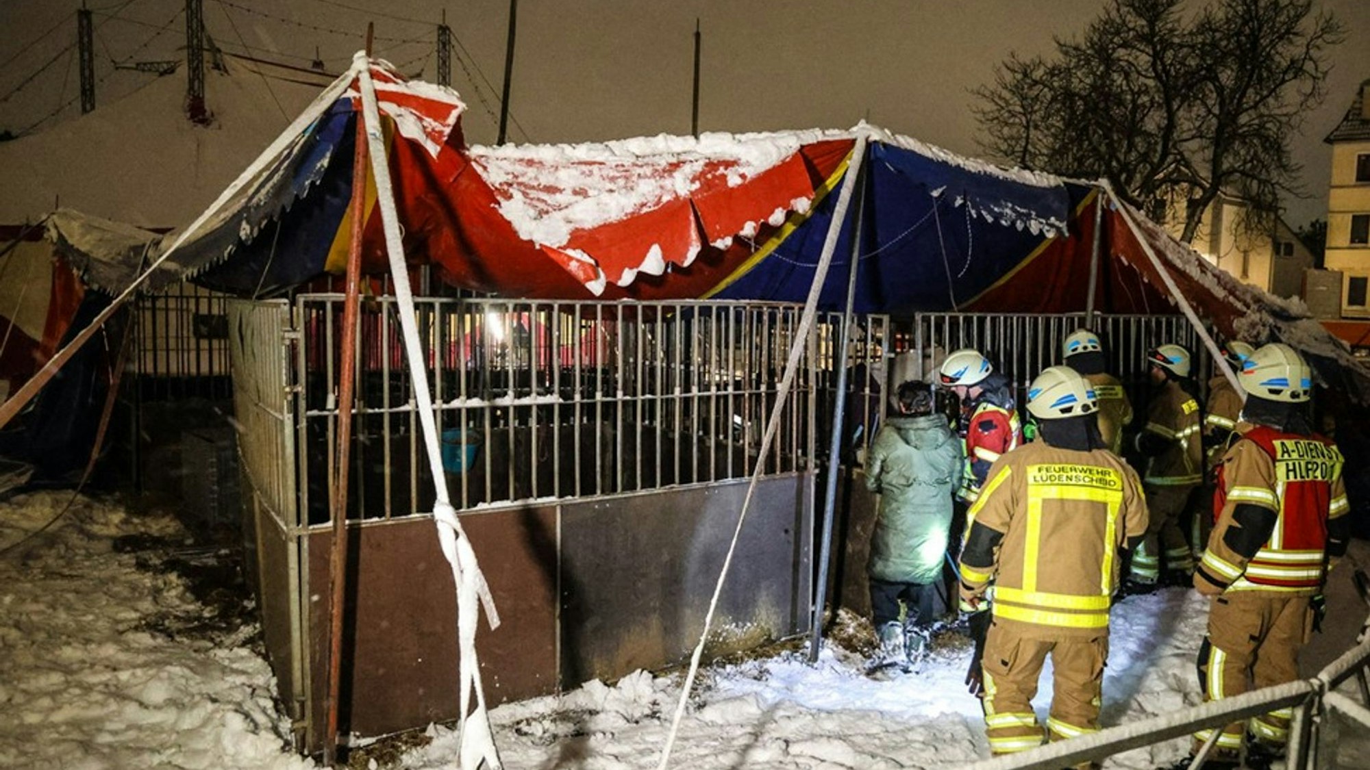 Alle Tiere konnten unverletzt aus dem Zelt gerettet werden.