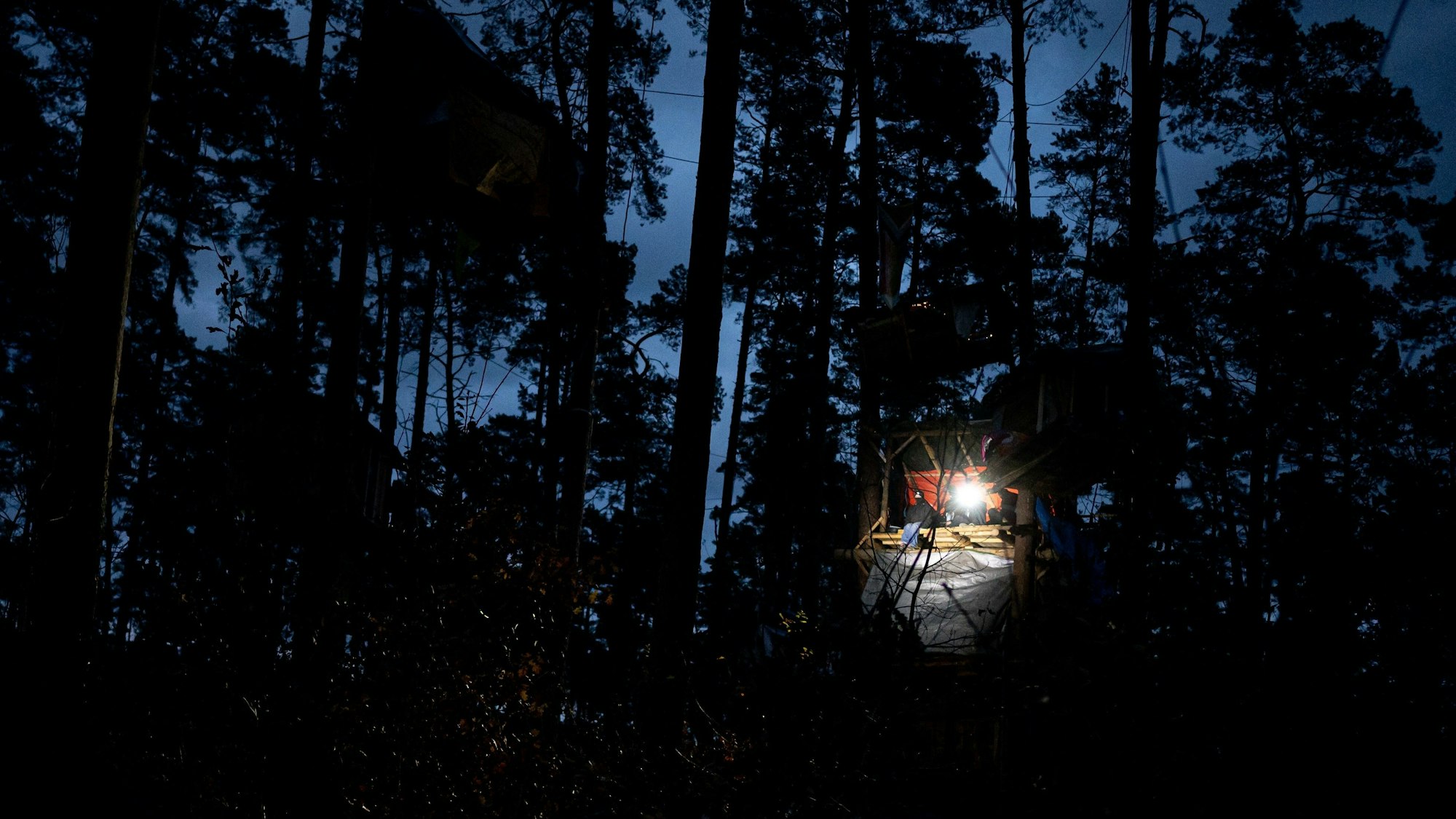 Die beiden Jugendlichen hatten sich in einem Waldstück verirrt. (Symbolfoto)