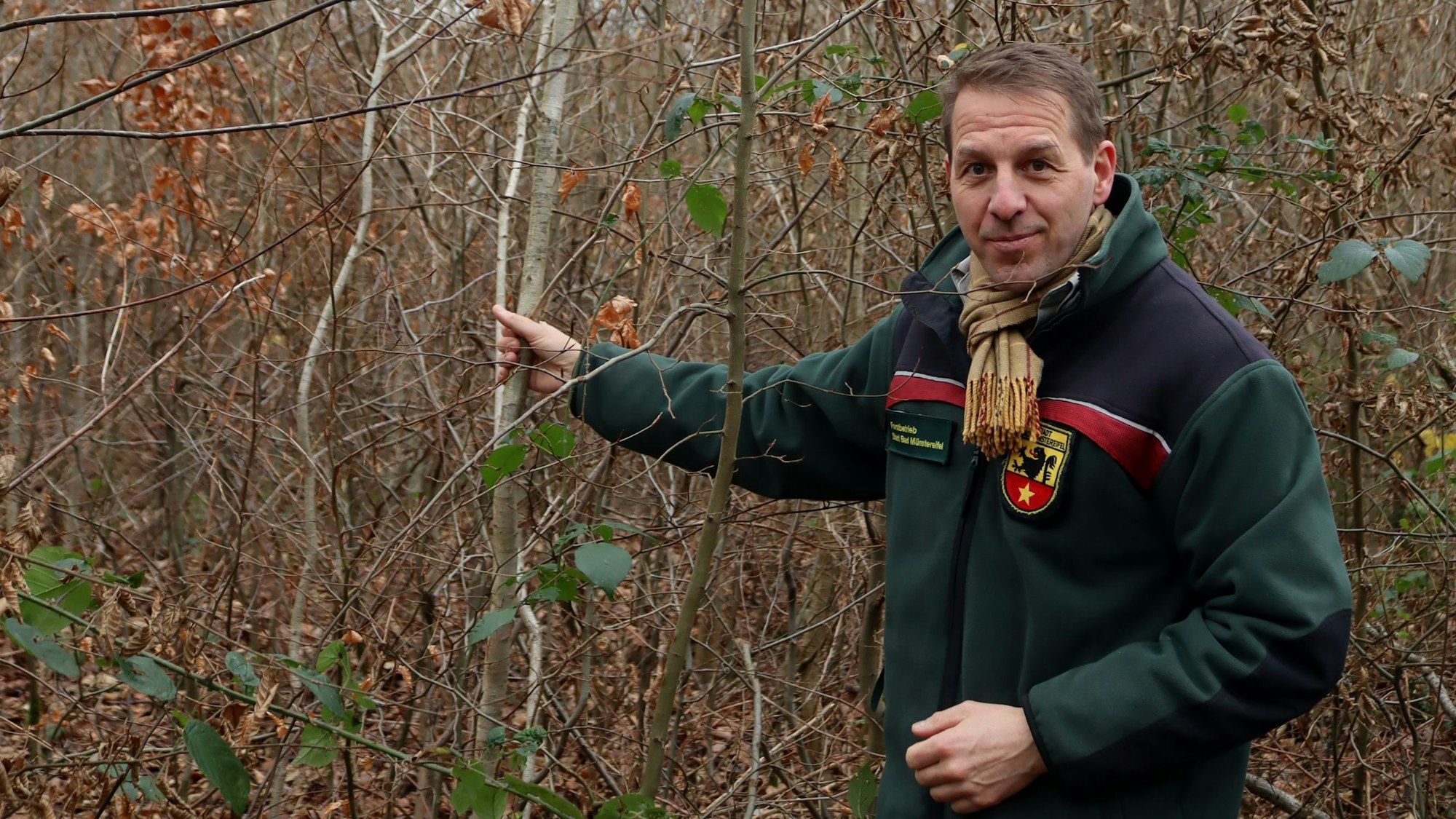 Stefan Lott, einer von drei Bad Münstereifeler Förstern, mit einer rund 15 Jahre alten Eiche, die vorbildlich gewachsen ist.
