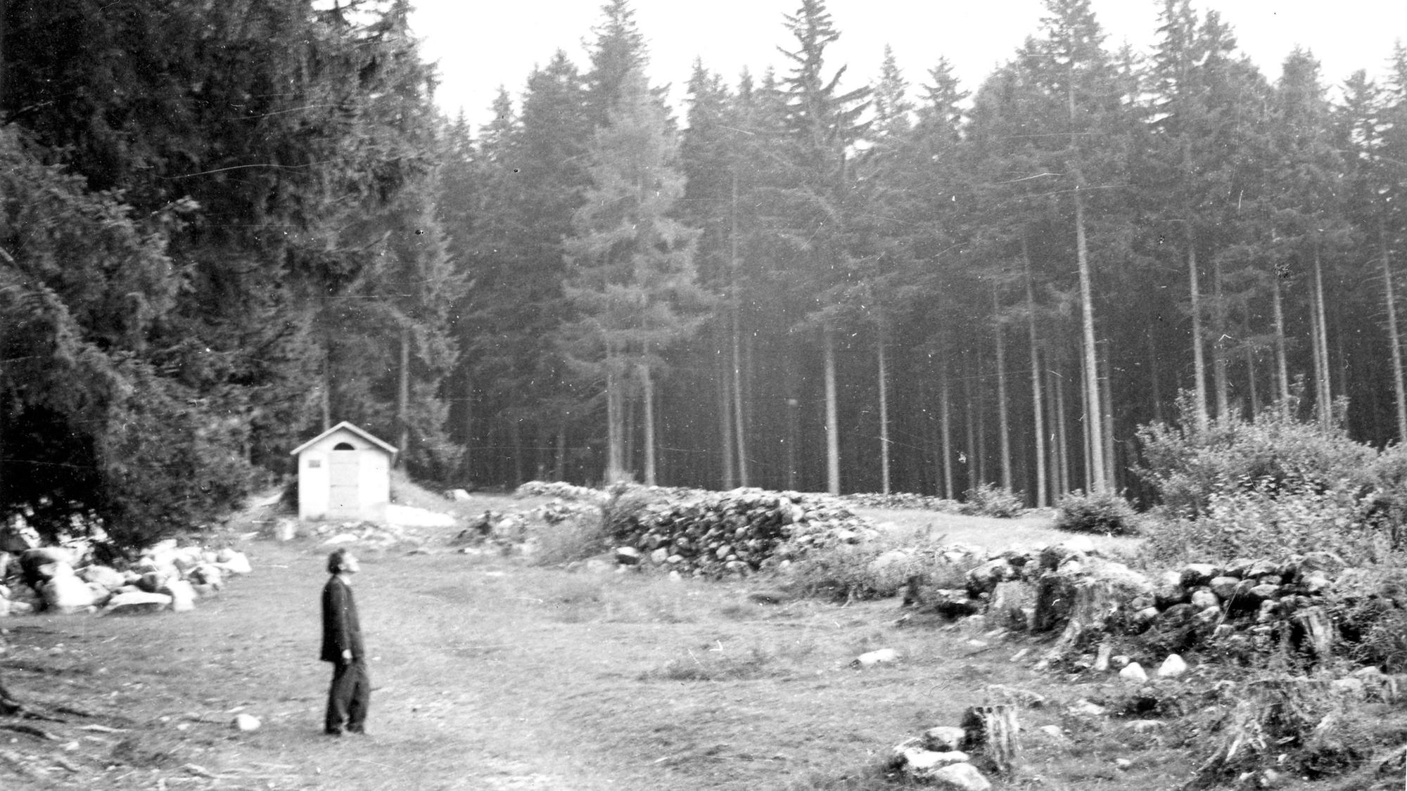 Alberto Giacometti auf der Lichtung