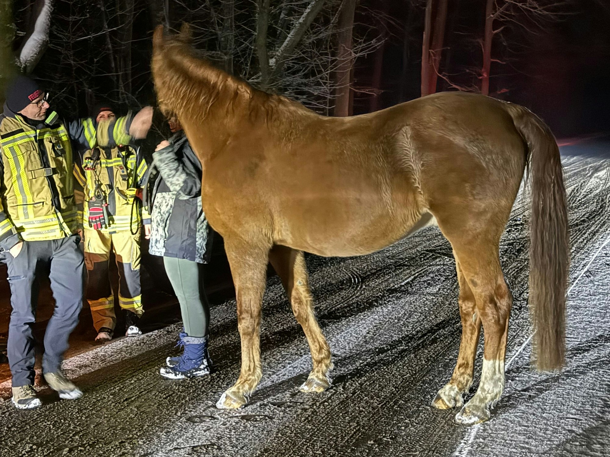 Die junge Frau und ihr Pferd konnten unverletzt gefunden werden.