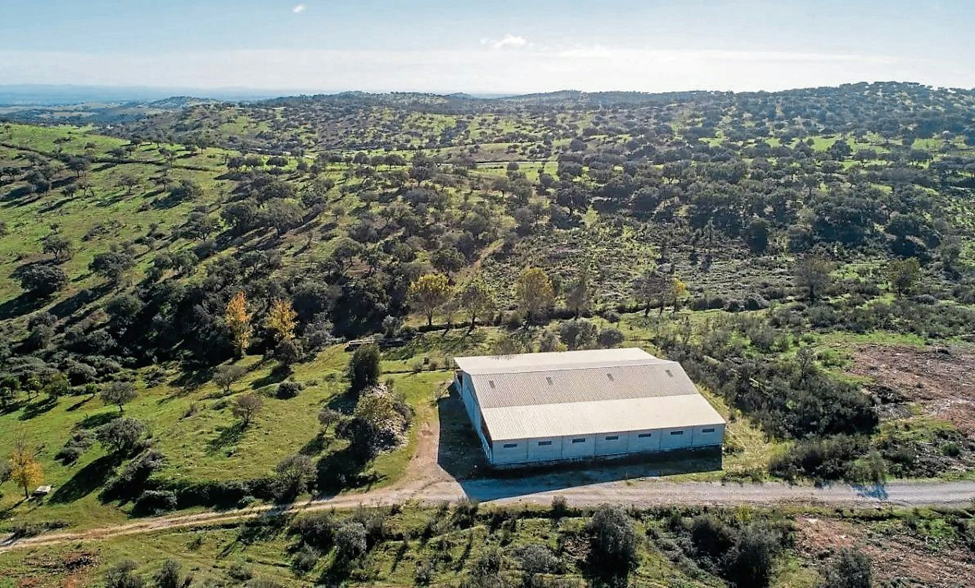 Sanfte Hügel, weite Wiesen auf 400 Hektar: das neue Pangea-Elefantenreservat in Portugal.