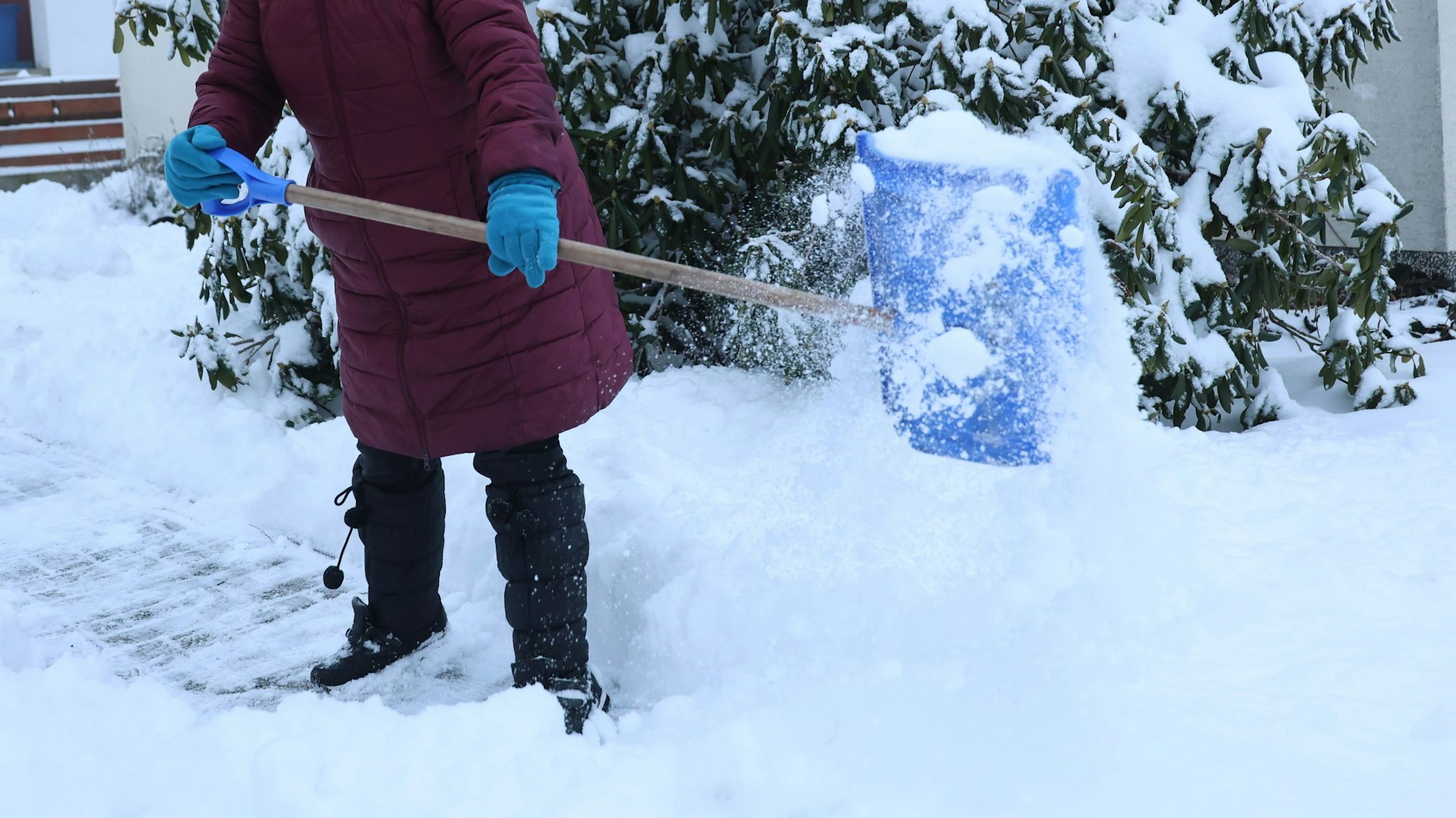 18.01.2024 Binnen weniger Stunden verwandelte sich der Kreis Euskirchen in eine Winterlandschaft. Auch für Astrid Antens war am Donnerstagmorgen Schneeschippen angesagt.