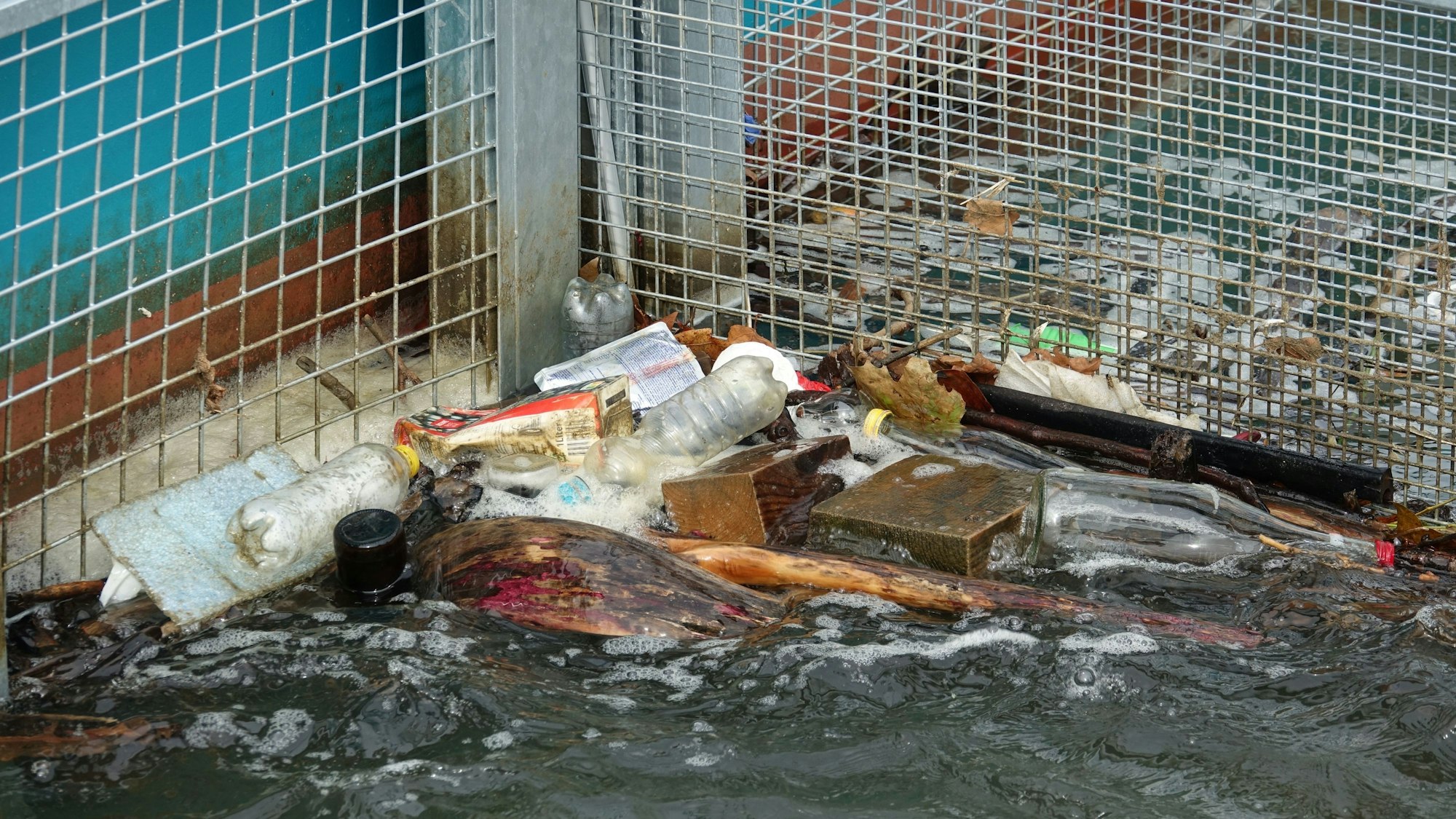 Das Bild zeigt Müll, der sich in den beiden Körben der Müllfalle Rheinkrake verfangen hat. Foto: Leandra Hamann/Nature/dpa+