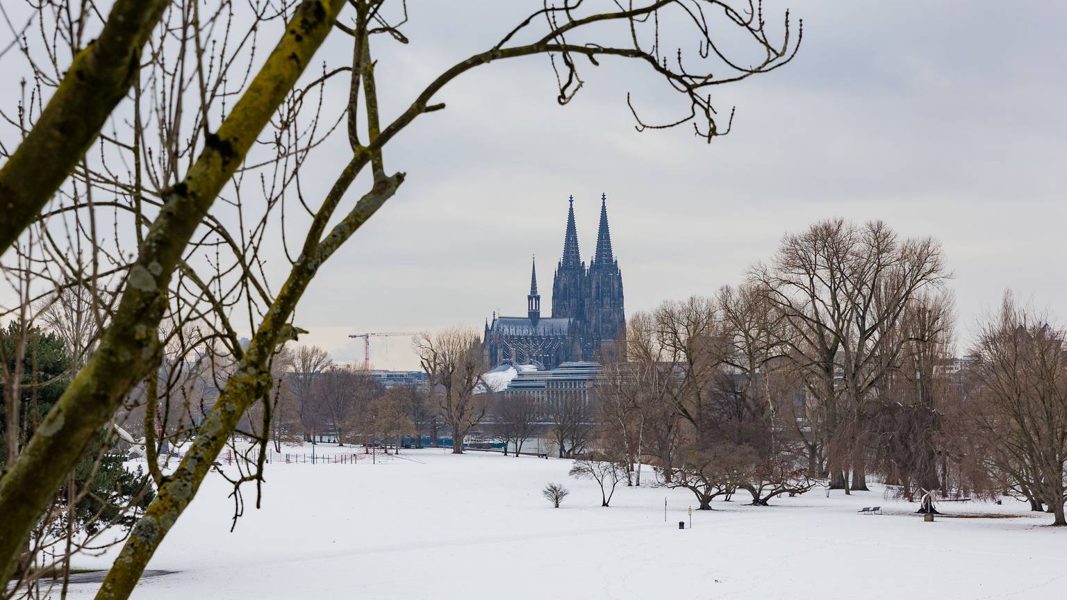 Dom mit Schnee bedeckten Wiesen des Rheinparks im Vordergrund.