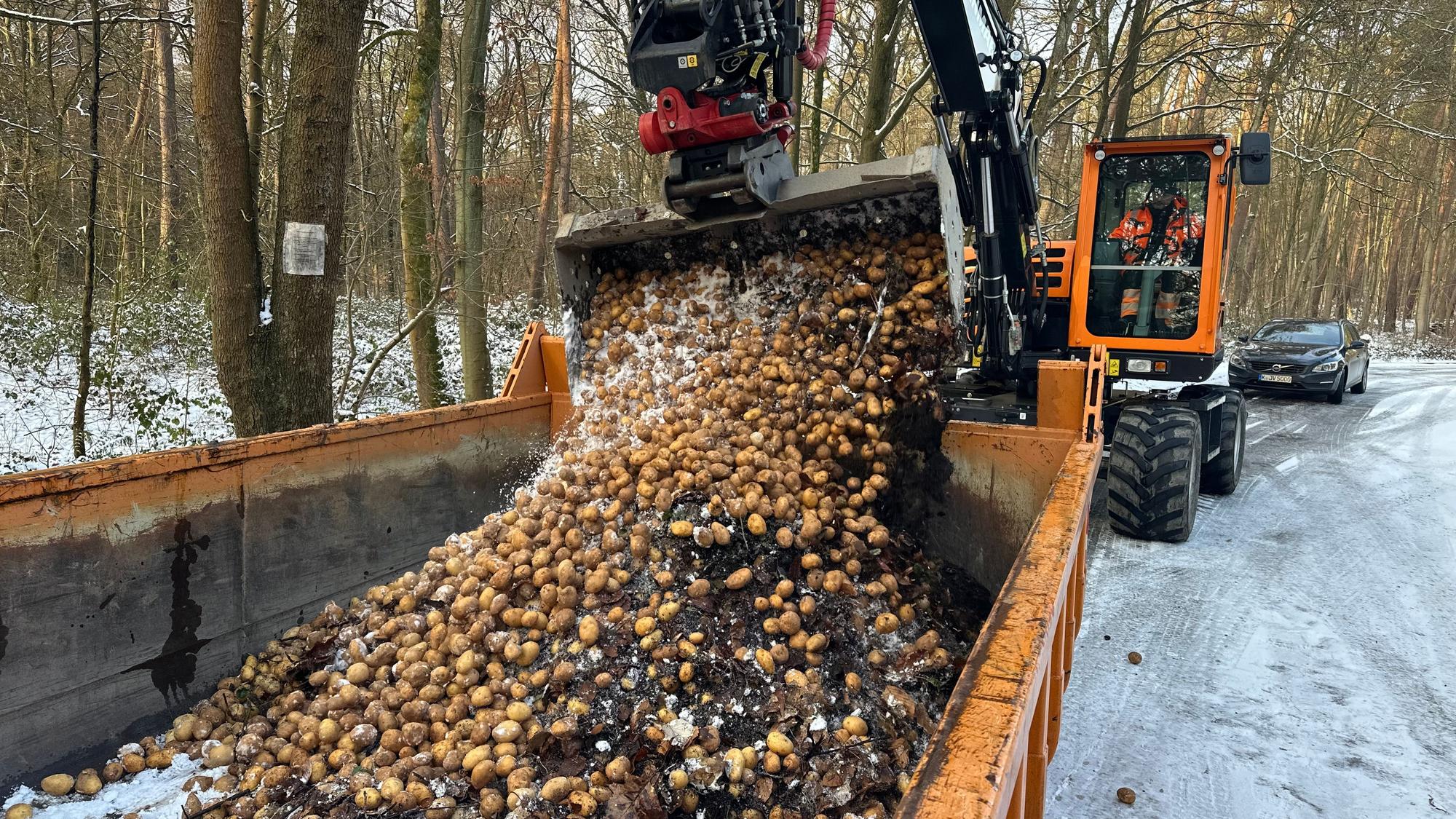 Illegal abgekippte Kartoffeln am Mauspfad in Troisdorf werden von der Stadt abgeholt und zur Mülldeponie nach Sankt Augustin-Niederpleis gebracht.