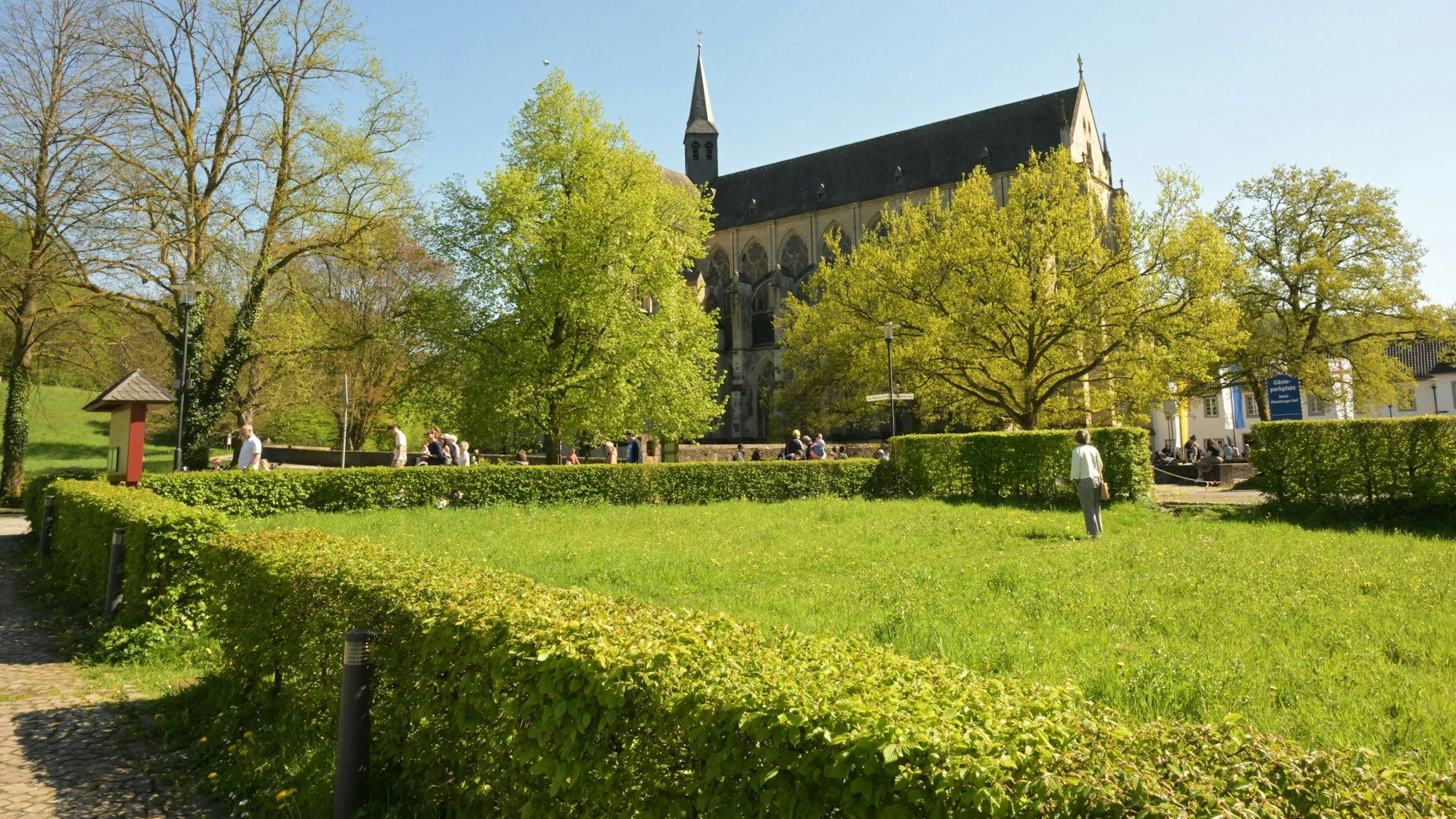 Der Altenberger Dom, davor eine blühende Wiese.