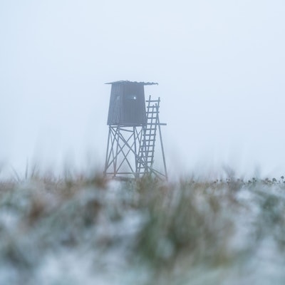 In Warburg hat sich ein tödlicher Jagdunfall ereignet (Symbolbild eines Hochsitzes).