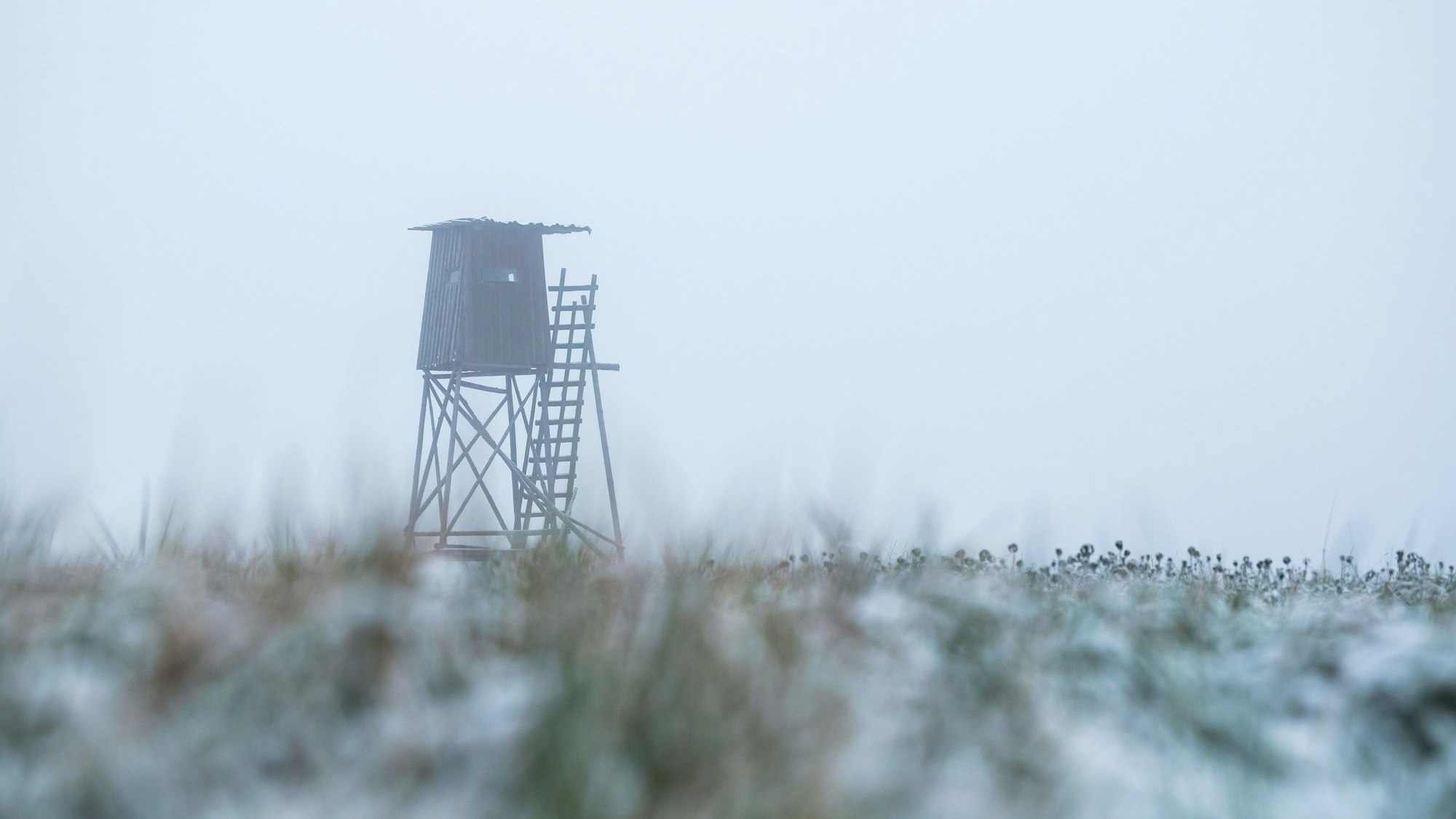 In Warburg hat sich ein tödlicher Jagdunfall ereignet (Symbolbild eines Hochsitzes).
