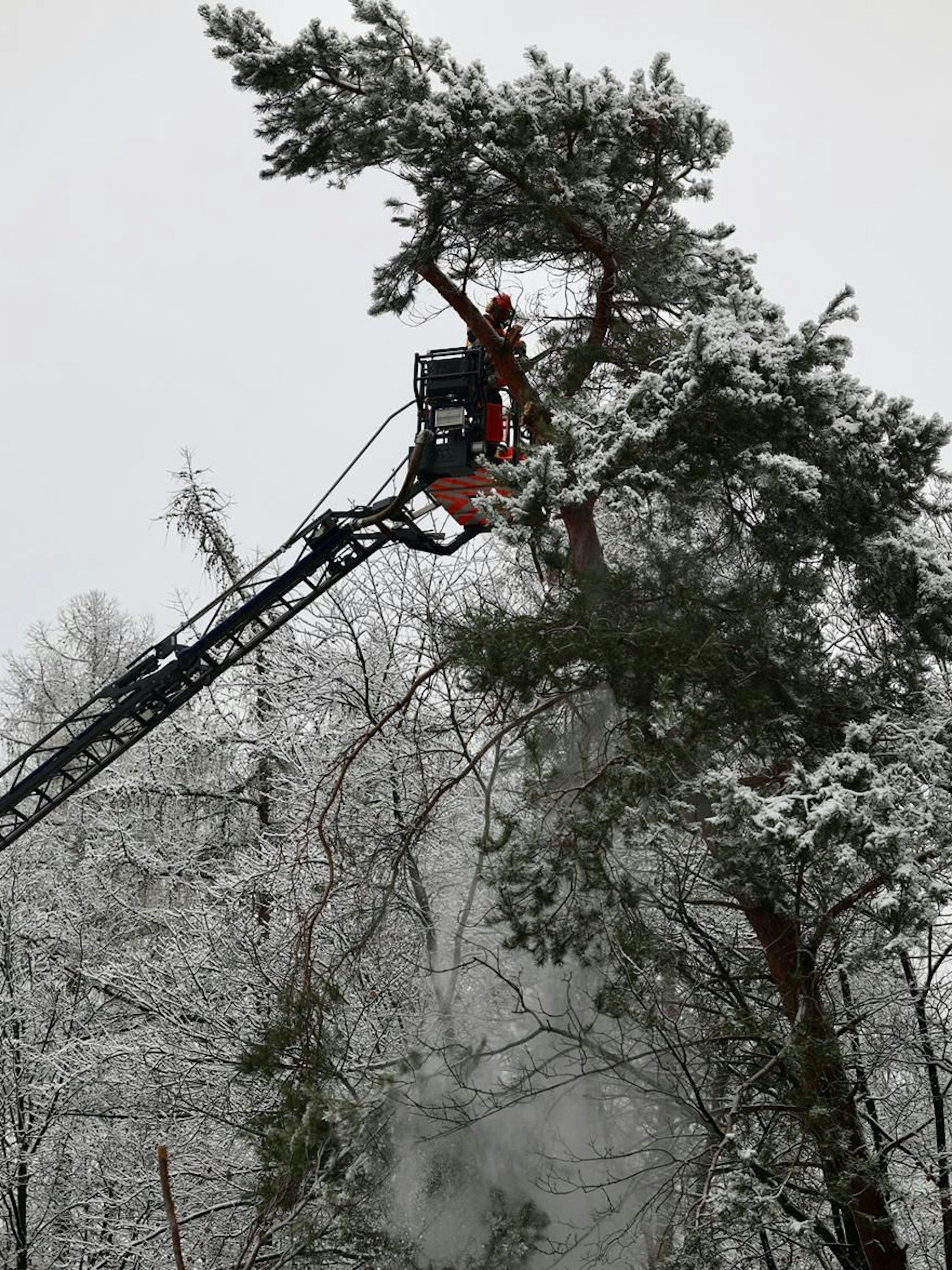 Ein Feuerwehrmann sägt eine Baumkrone an der A4 bei Bensberg ab.