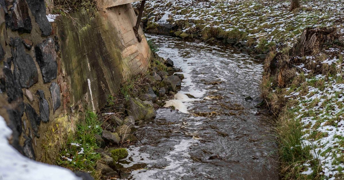 Fire department called out: liquid manure flows into stream near ...