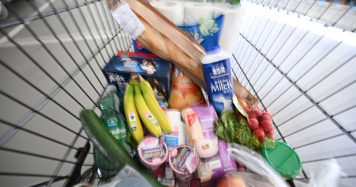 Food: Will a